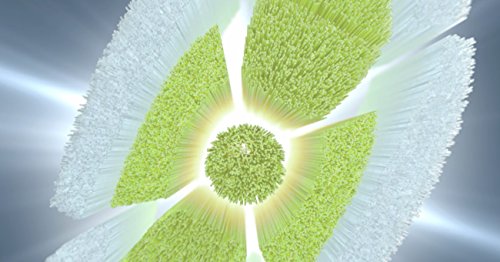 Philips Sonicare Genuine W DiamondClean Replacement Toothbrush Heads, 4 Brush Heads, White, HX6064/65 - Image 4