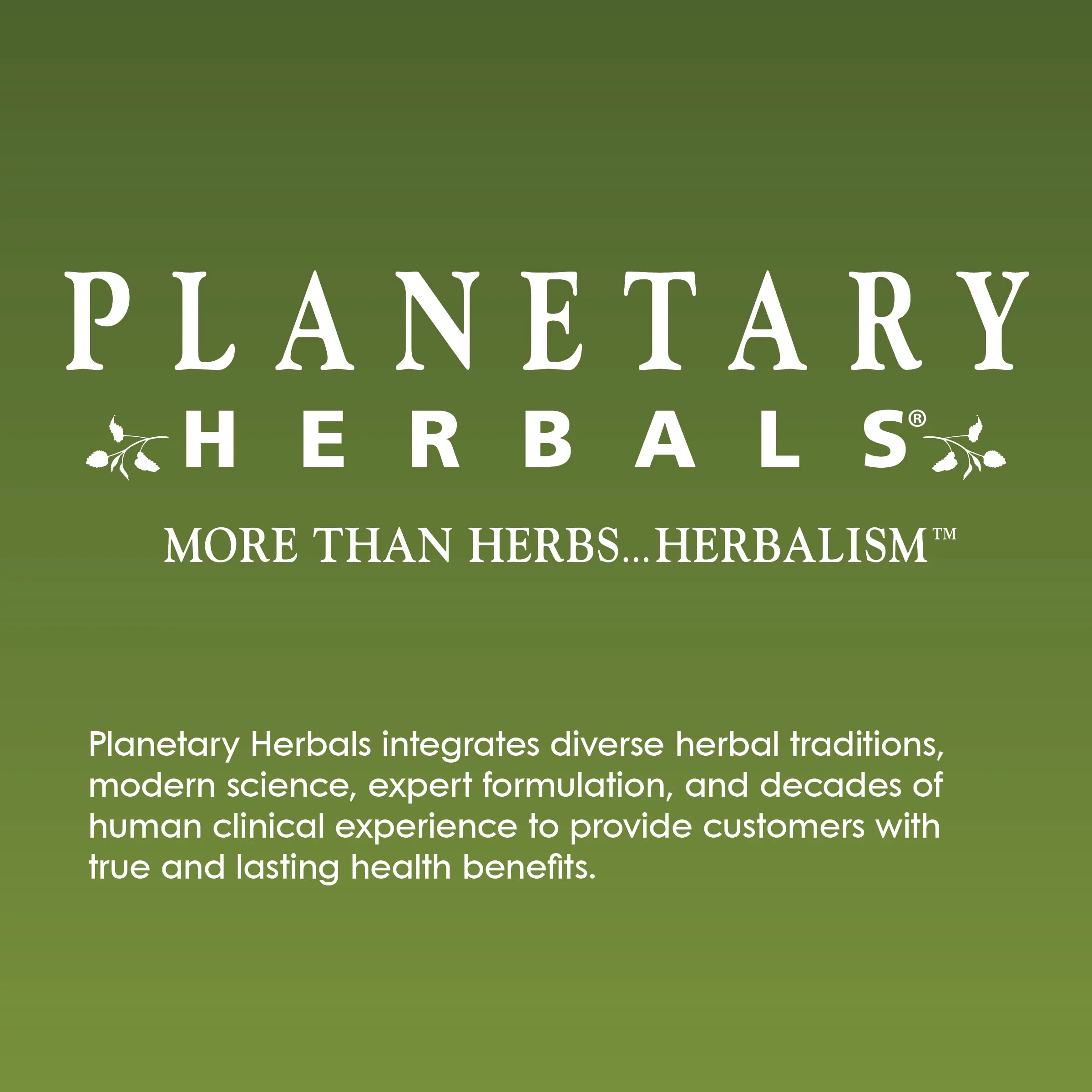 Planetary Herbals Full Spectrum Nopal Cactus, Prickly Pear Cactus, 1000 mg, with Prickley Pear Leaf - 120 Tablets - Image 2