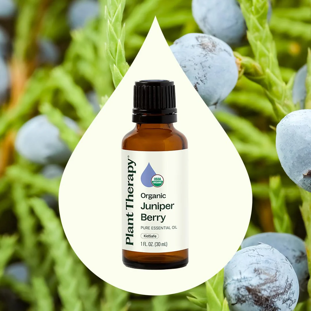 Plant Therapy Organic Juniper Berry Essential Oil 100% Pure, Undiluted, Natural Aromatherapy, Therapeutic Grade 10 mL (1/3 oz) - Image 8