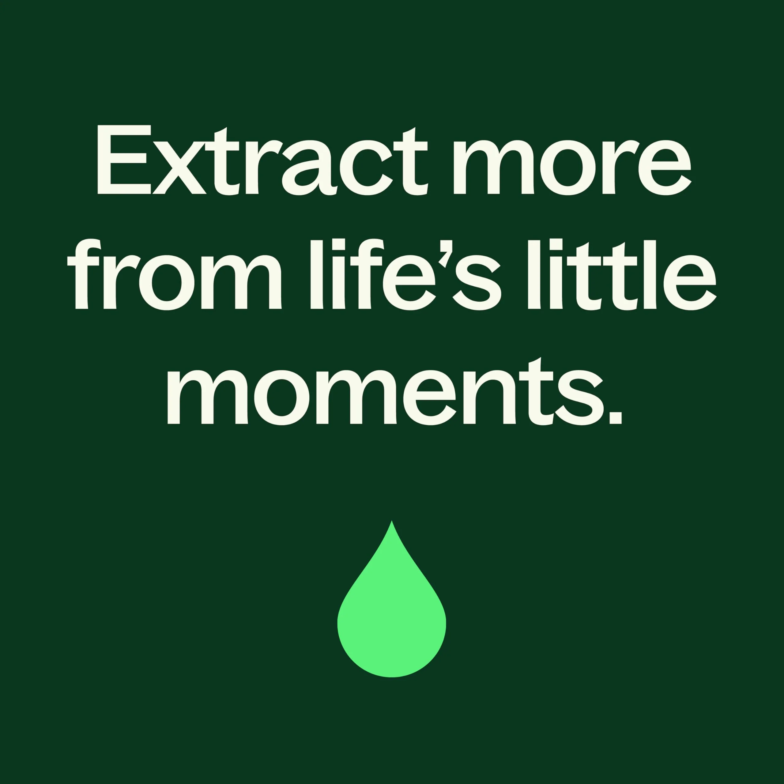 Plant Therapy Organic Peppermint Essential Oil 100% Pure, USDA Certified Organic, Undiluted, Natural Aromatherapy, for Diffusion, Skin, Hair, Therapeutic Grade 100 mL (3.3 oz) - Image 2