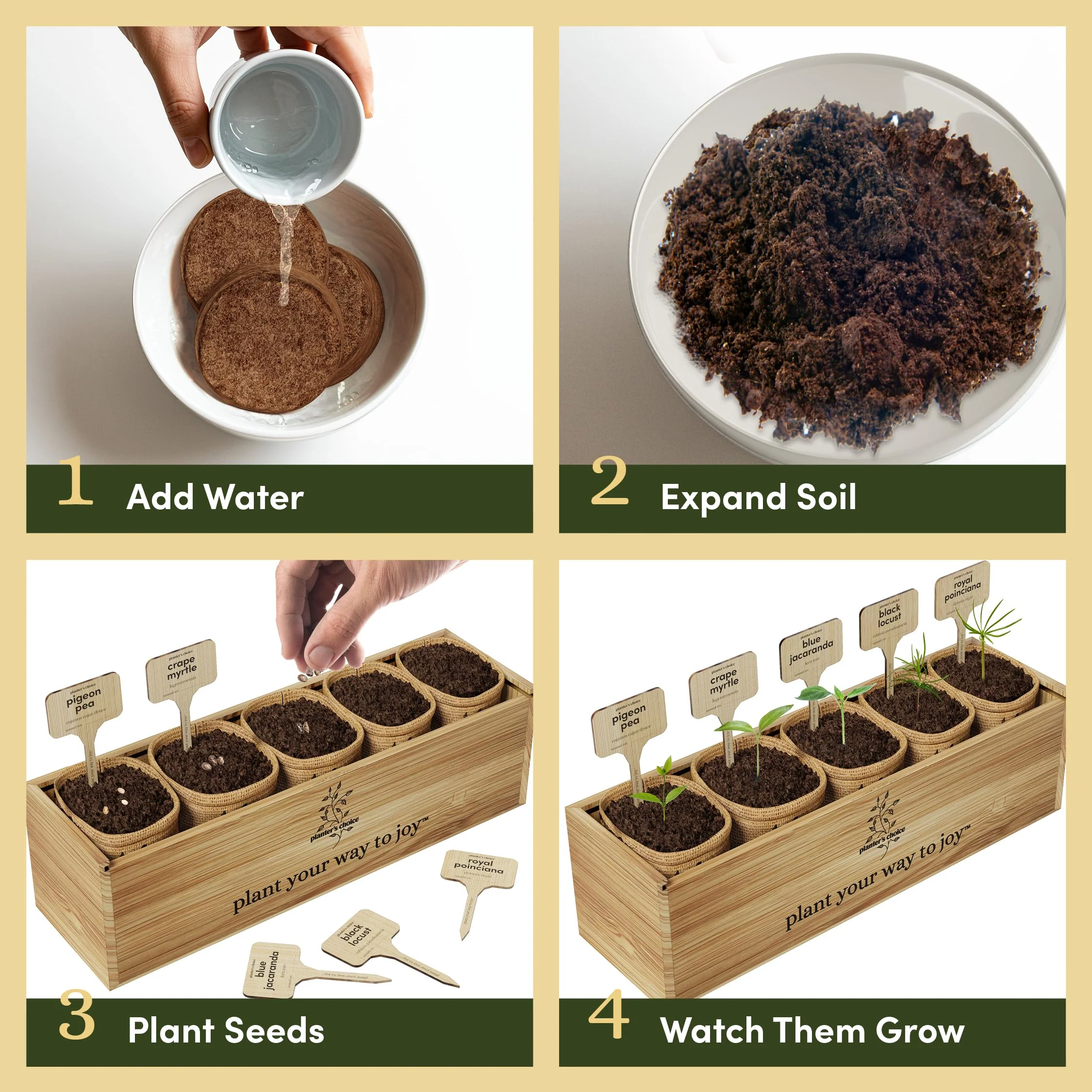 Planter's Choice Bonsai Tree Starter Kit - Unique Gifts for Women, Men - Christmas Gifts for Adults - Indoor Live House Plants - DIY Crafts for Adults Craft Kits - Hobby Gift for Gardening Lovers - Image 5