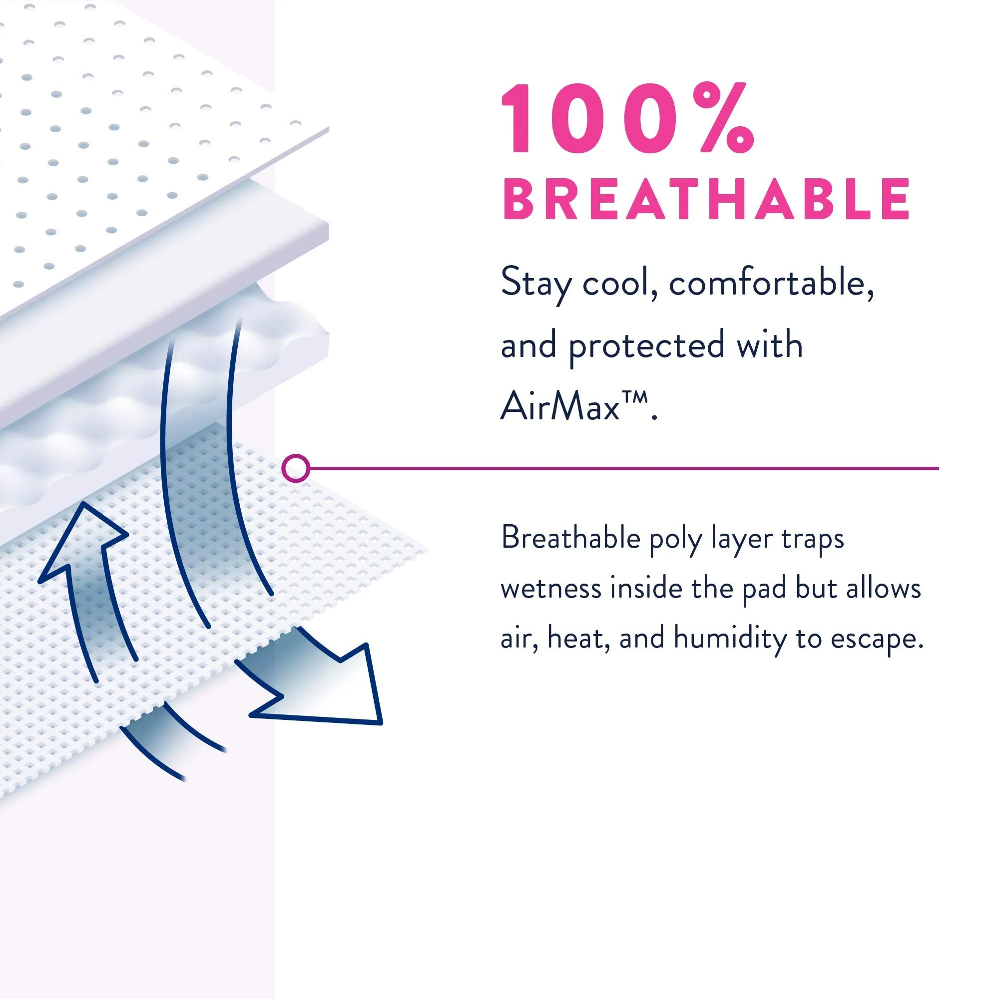 Prevail Proven | Large Pull-Up | Women's Incontinence Protective Underwear | Maximum Absorbency | 72 Count - Image 7