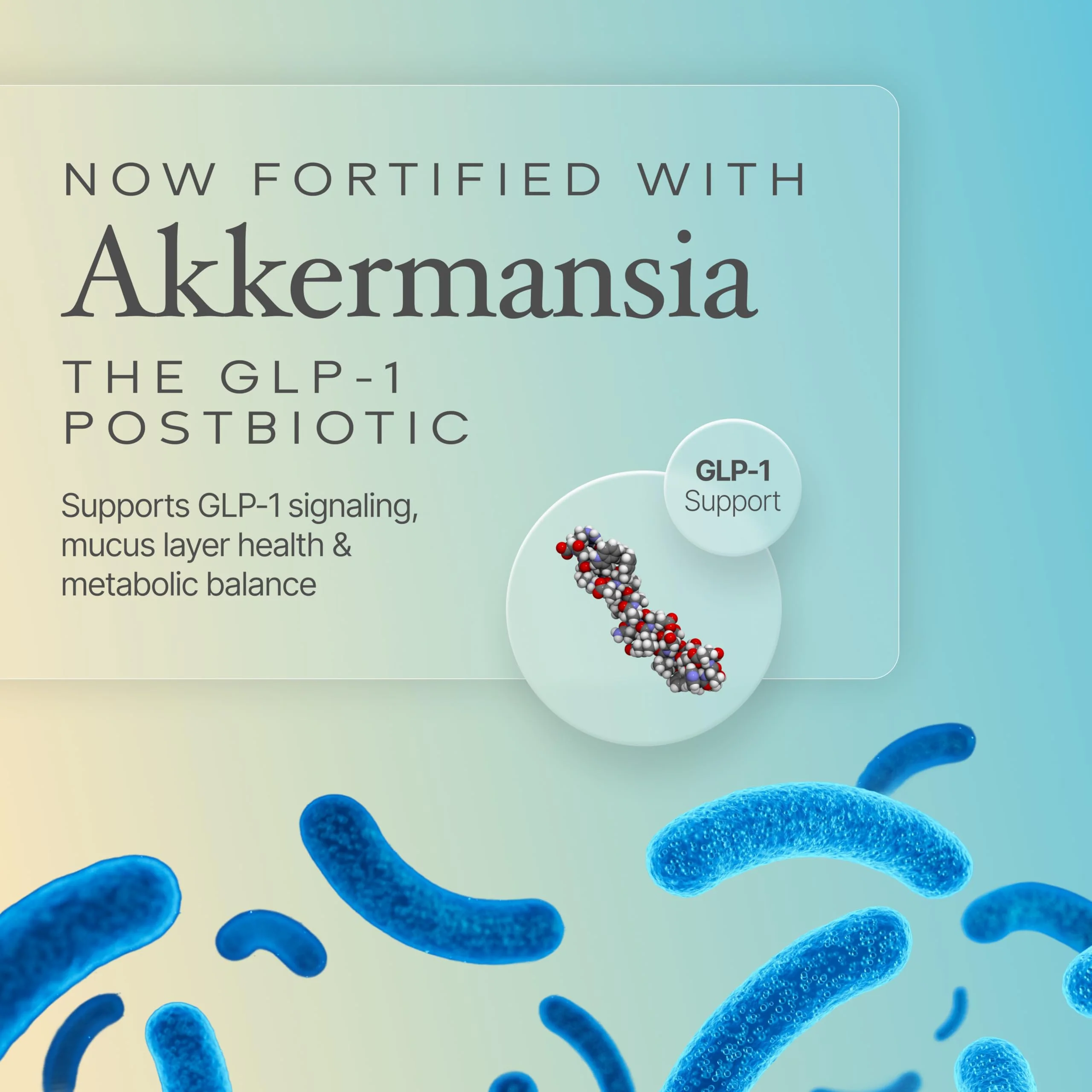 Prime Powders® Colostrum Grass-fed Powder with Akkermansia GLP-1 Probiotic, High IgG, Gut Lining & Immune Support, Growth Factors, Maximum Absorption, Unflavored Supplement (120 Servings) - Image 4