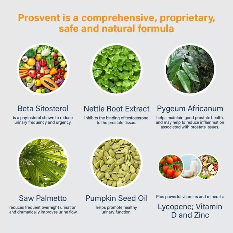 Prosvent Prostate Supplement for Men with Clinically Effective Beta Sitosterol - Image 7
