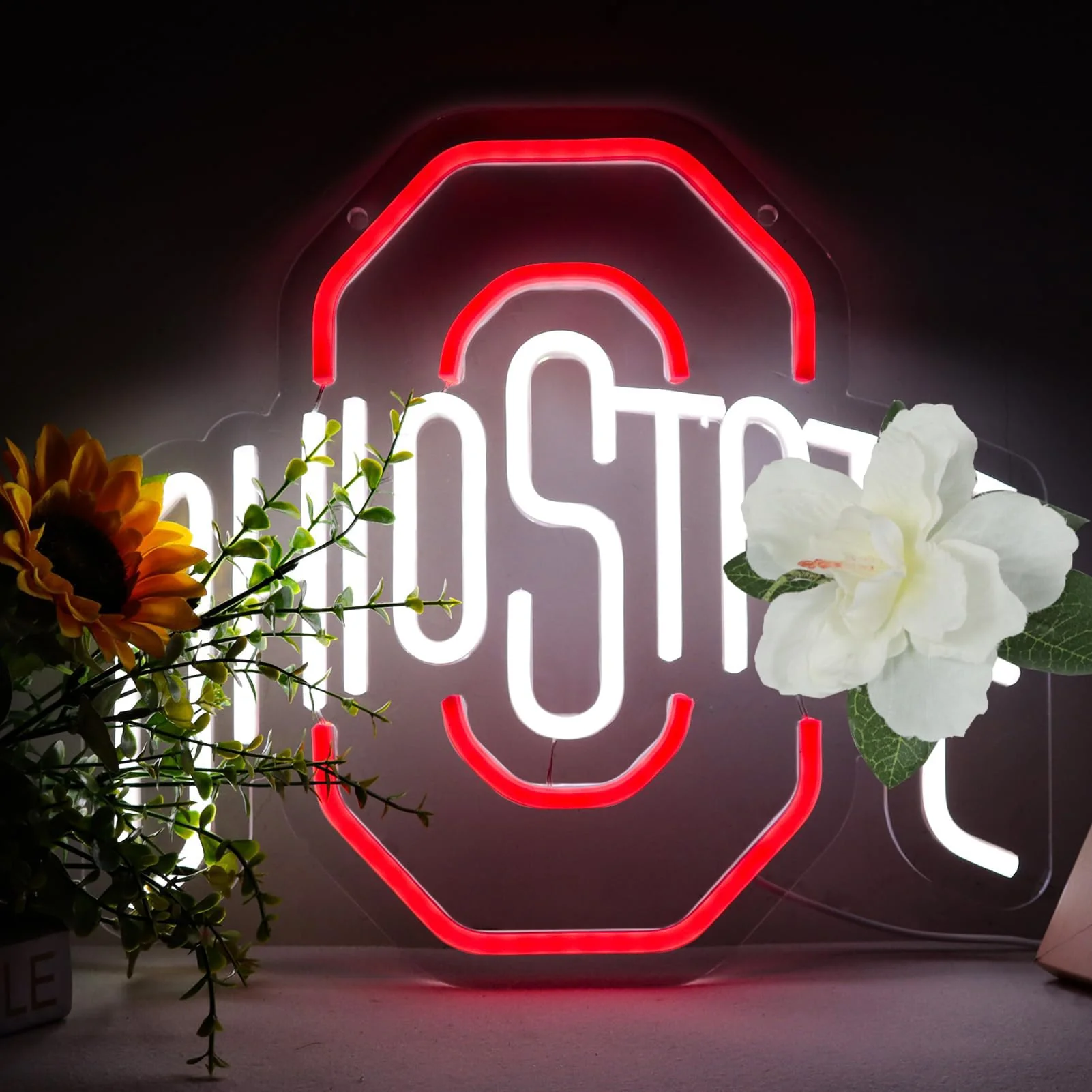 Pugna Football Neon Signs for Wall Decor University Football Team Neon Lights for Bedroom Led Signs Suitable for Dormitory Man Cave Christmas Gift - Image 5