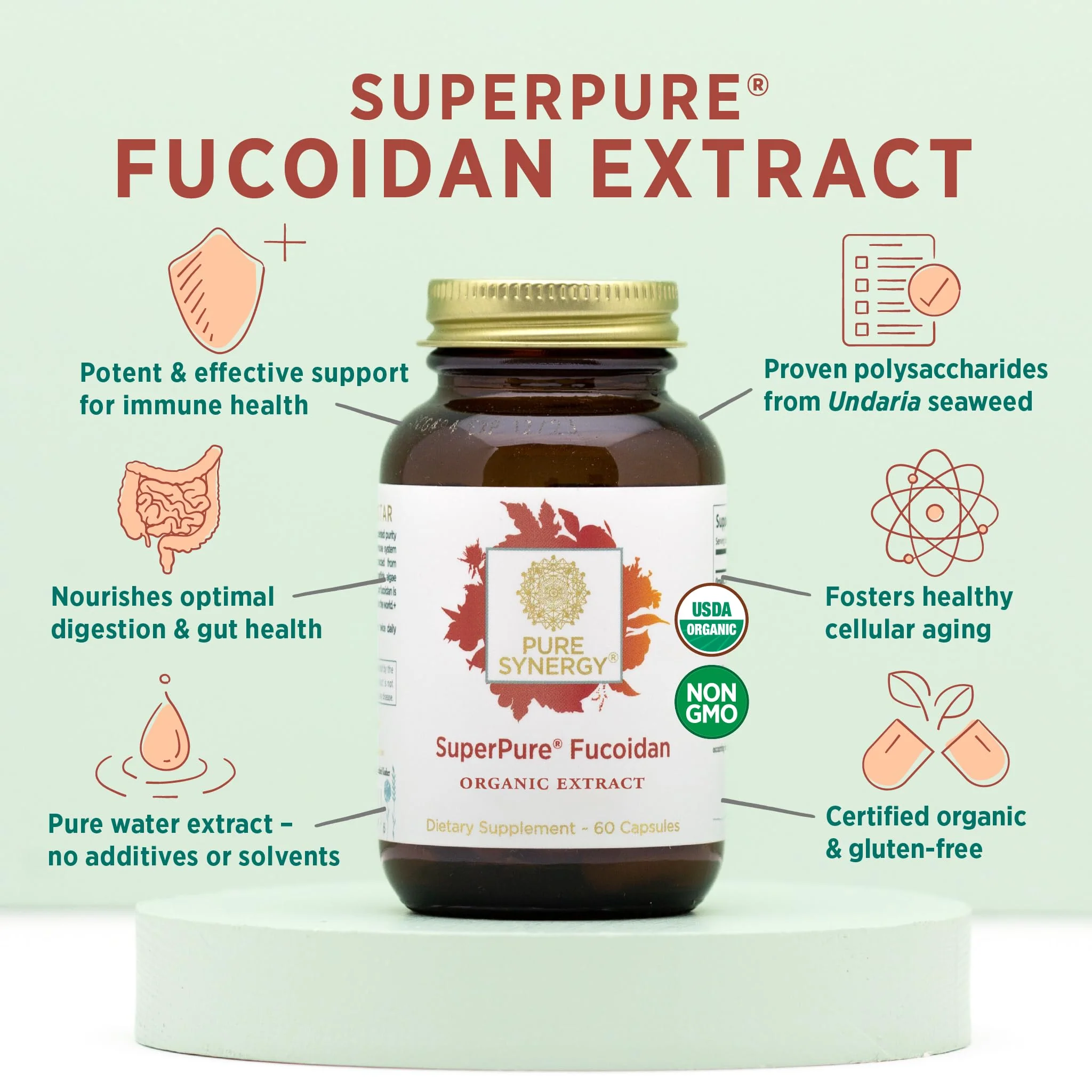 PURE SYNERGY SuperPure Fucoidan Extract | Gluten-Free Fucoidan from Organic Brown Seaweed | for Immune Health, Digestion, and Healthy Aging (60 Capsules) - Image 5
