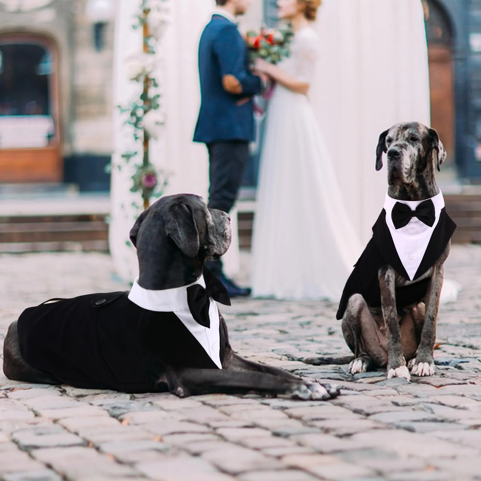 QBLEEV Tuxedo for Large Dogs, Suit and Bandana Set, Wedding Outfit With Bow Tie, Formal Tux Costume for Halloween, Christmas, Birthday Party, Cosplay, Black 2XL - Image 6