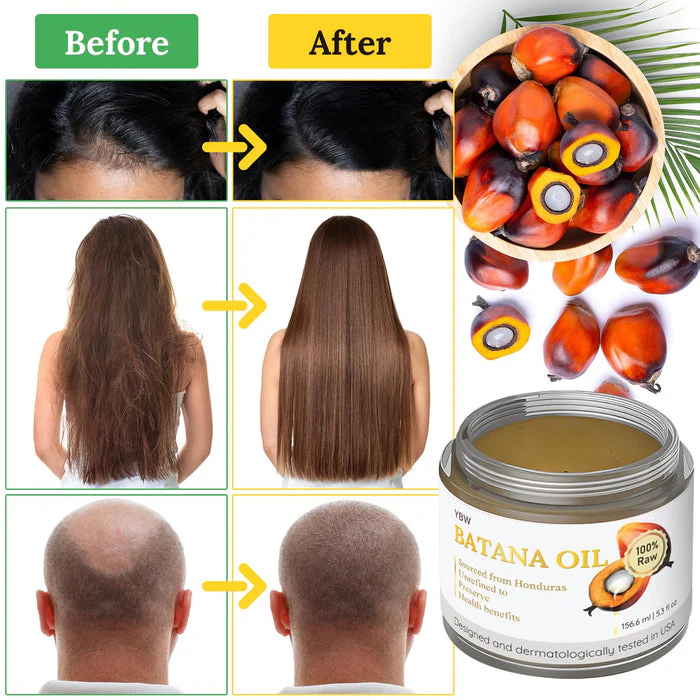 Raw Batana Oil for Hair Growth, 100% Natural, Pure, Unrefined and Organic Dr. Sebi Batana Oil Raw from Honduras Prevent Hair Loss and Enhances Hair Thickness in Men & Women - Image 4