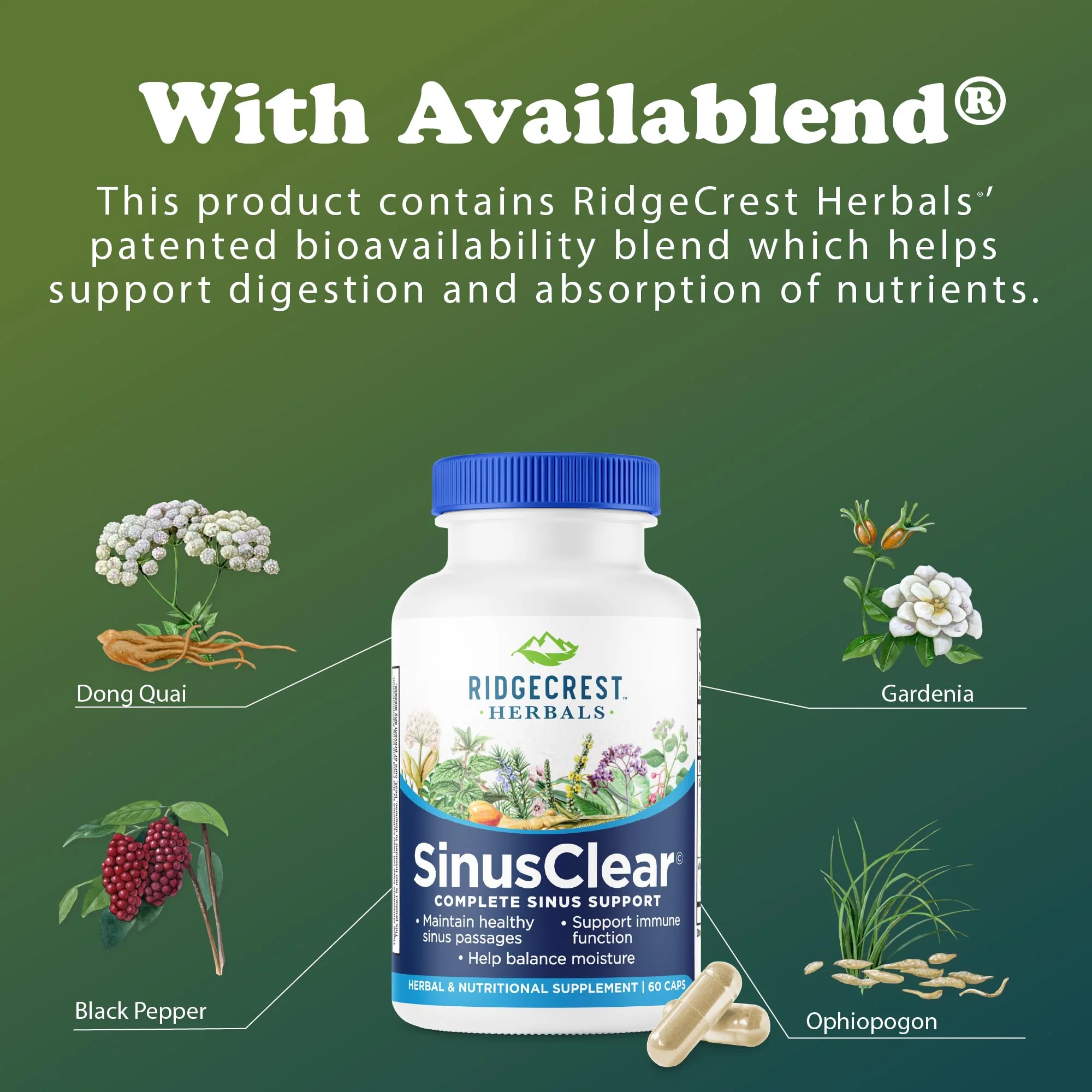 RidgeCrest Herbals SinusClear, Complete Formula for Sinus and Nasal Health with Mullein Leaf, Bromelain, Vitamin C, and Zinc, for Healthy Mucus, Immune & Respiratory Support, (60 Veg Caps, 30 Serv) - Image 4