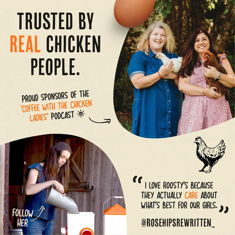 Roosty's Naturals Chicken De-Wormer Powder - Chili Mix | 1LB Pouch | All-Natural Formula | US-Made Chicken Wormer, Poultry De-Wormer | Chicken Medicine Supplies to Relieve and Safeguard from Worms - Image 8