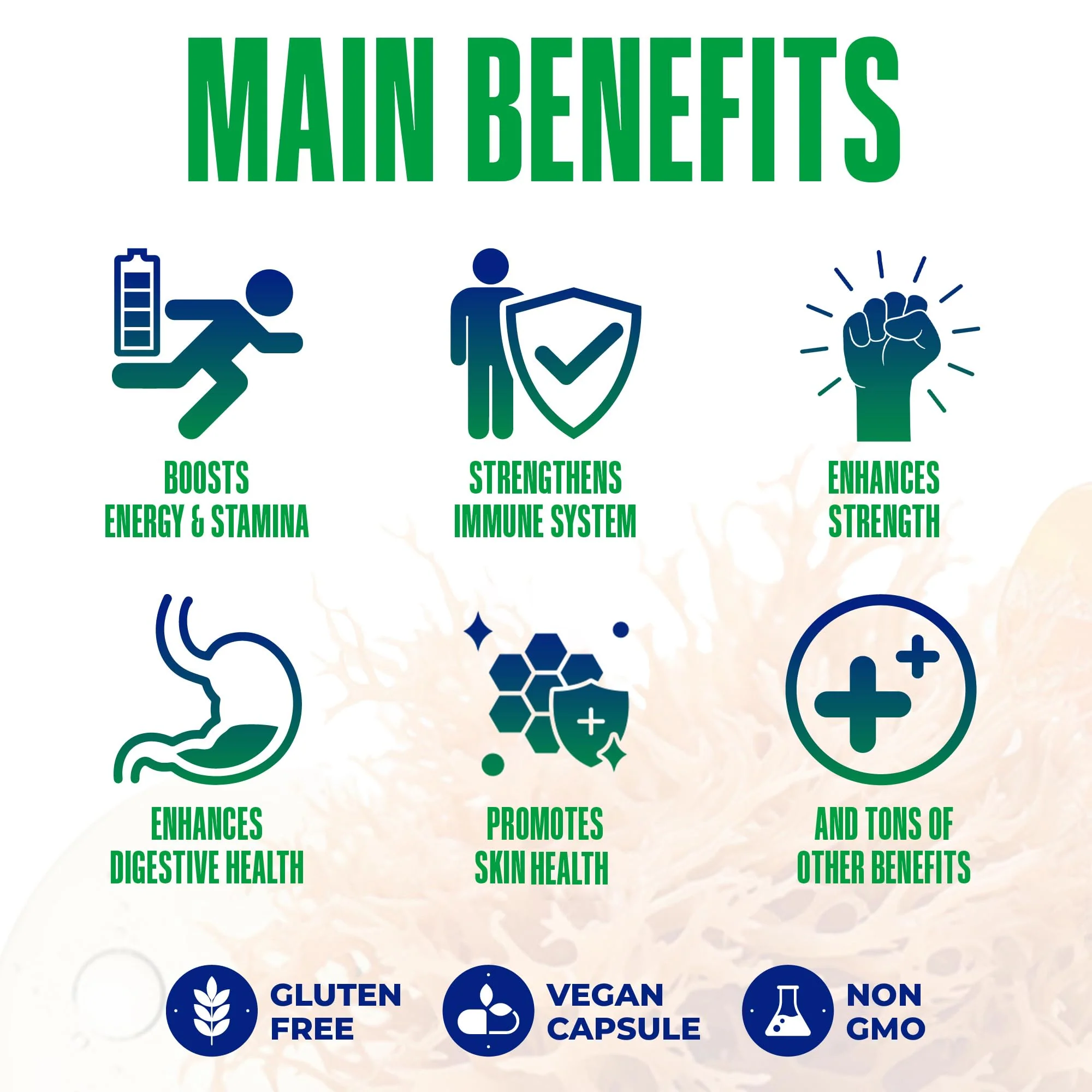 Sea Moss Black Seed Oil Ashwagandha Ginger - Advanced Irish Sea Moss Capsules All in One Supplement with Seamoss Black Seed Oil Ashwagandha Burdock Root Bladderwrack - Pills for Energy, Immune, Gut - Image 3