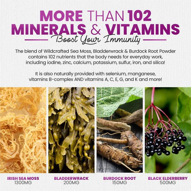 Sea Moss Gummies With Elderberry & Black Seed Oil - Image 5