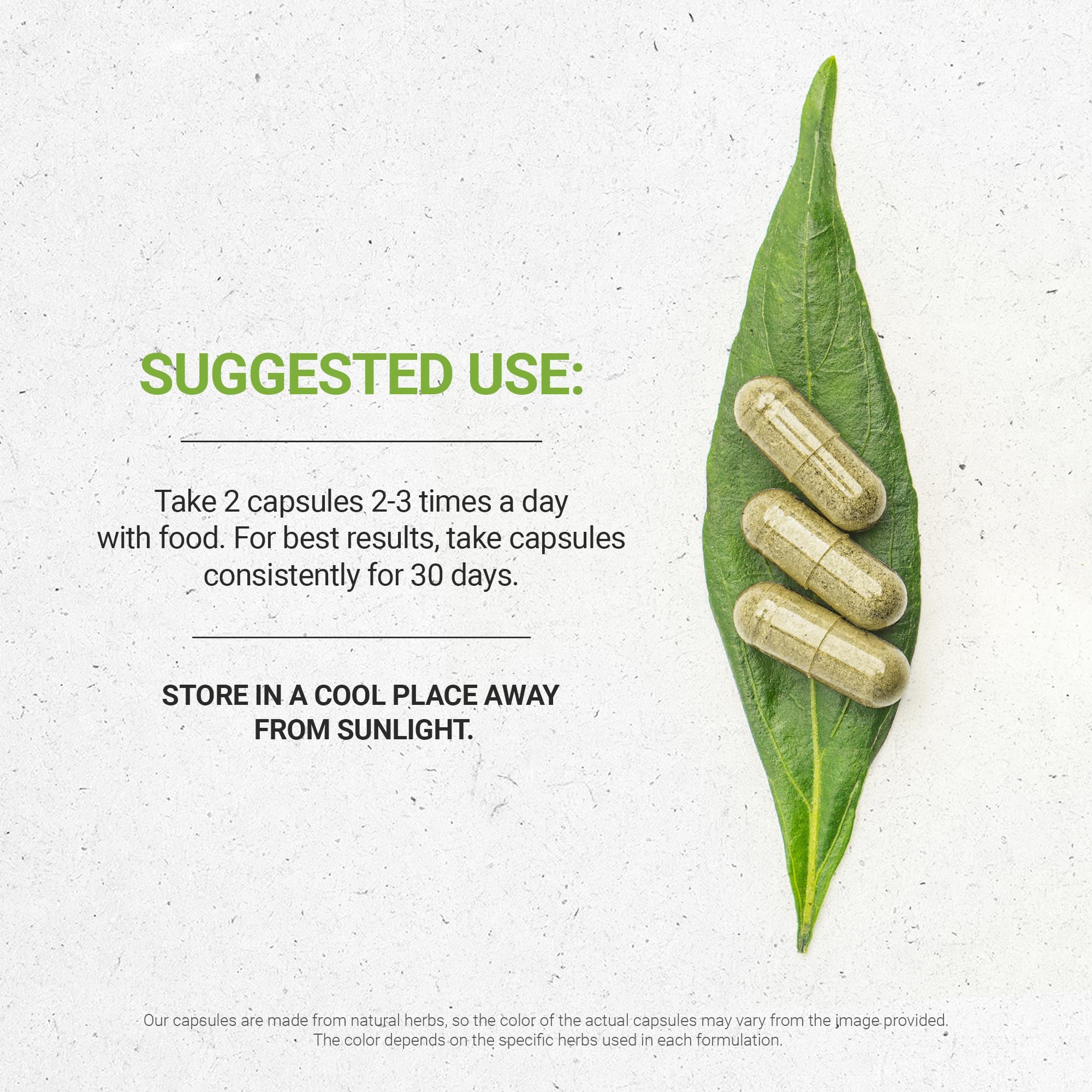 Secrets of the Tribe Stone Root 60 Capsules, 1000 mg, Responsibly farmed Stone Root (Collinsonia Canadensis) Dried Root (60 Capsules) - Image 5