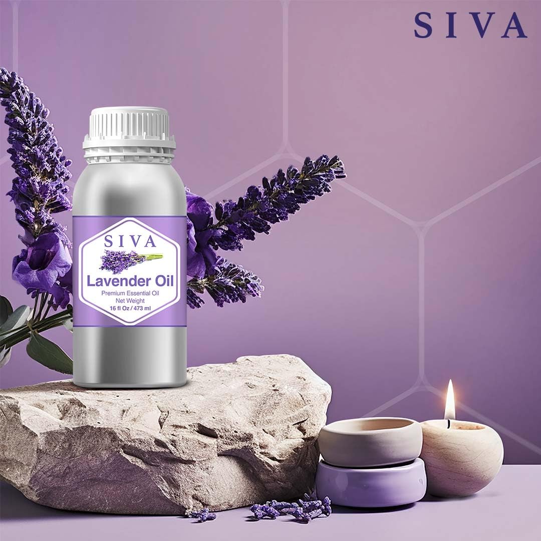 Siva Lavender Essential Oil – 16 Fl Oz – 100% Natural Lavender Oil - for Diffuser, Hair Care, Face, Skin Care, Aromatherapy, Scalp and Body Massage, Soap and Candle Making - Image 6