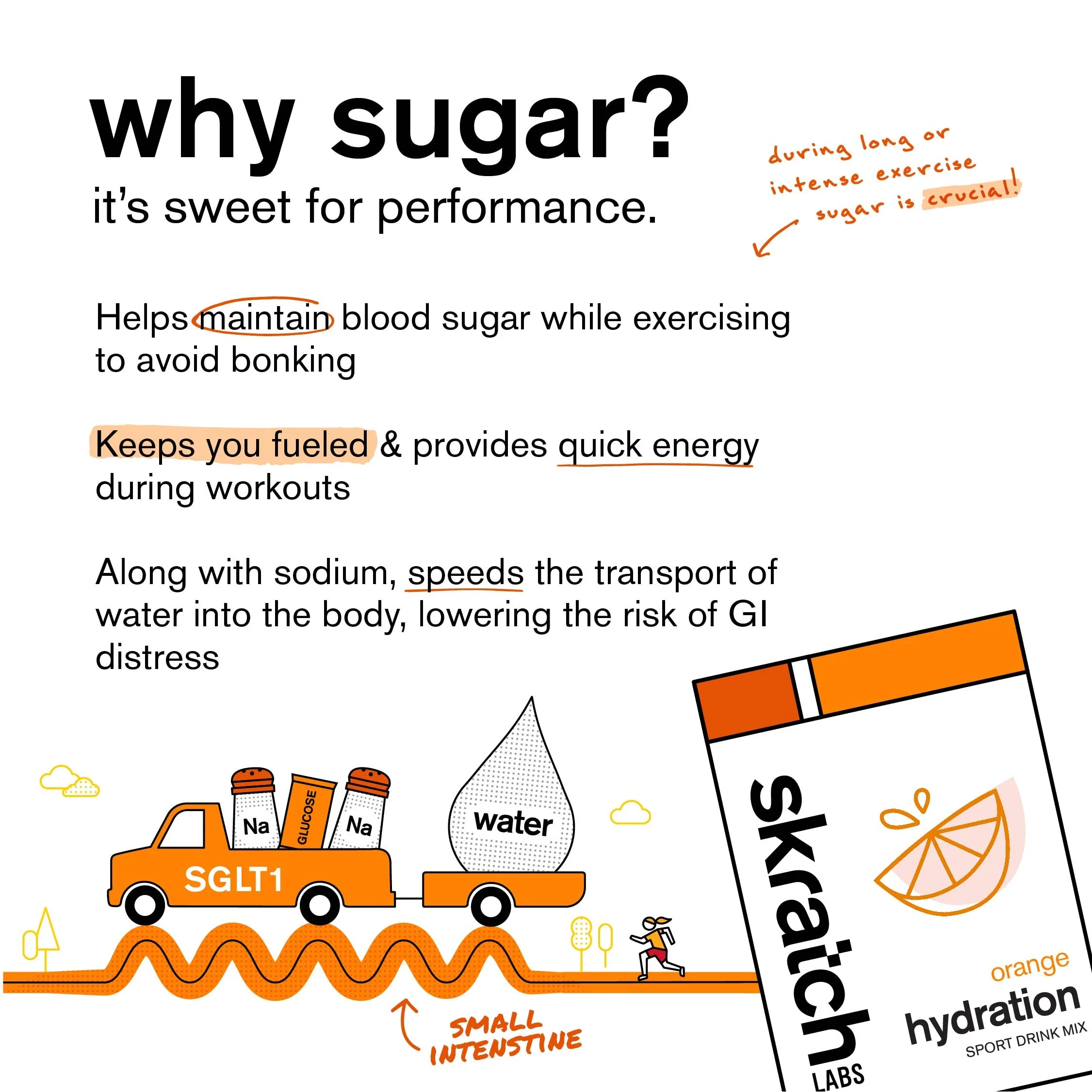 Skratch Labs Hydration Powder | Sport Drink Mix | Electrolytes Powder for Exercise, Endurance, and Performance | Orange | 20 Servings | Non-GMO, Vegan, Kosher - Image 2