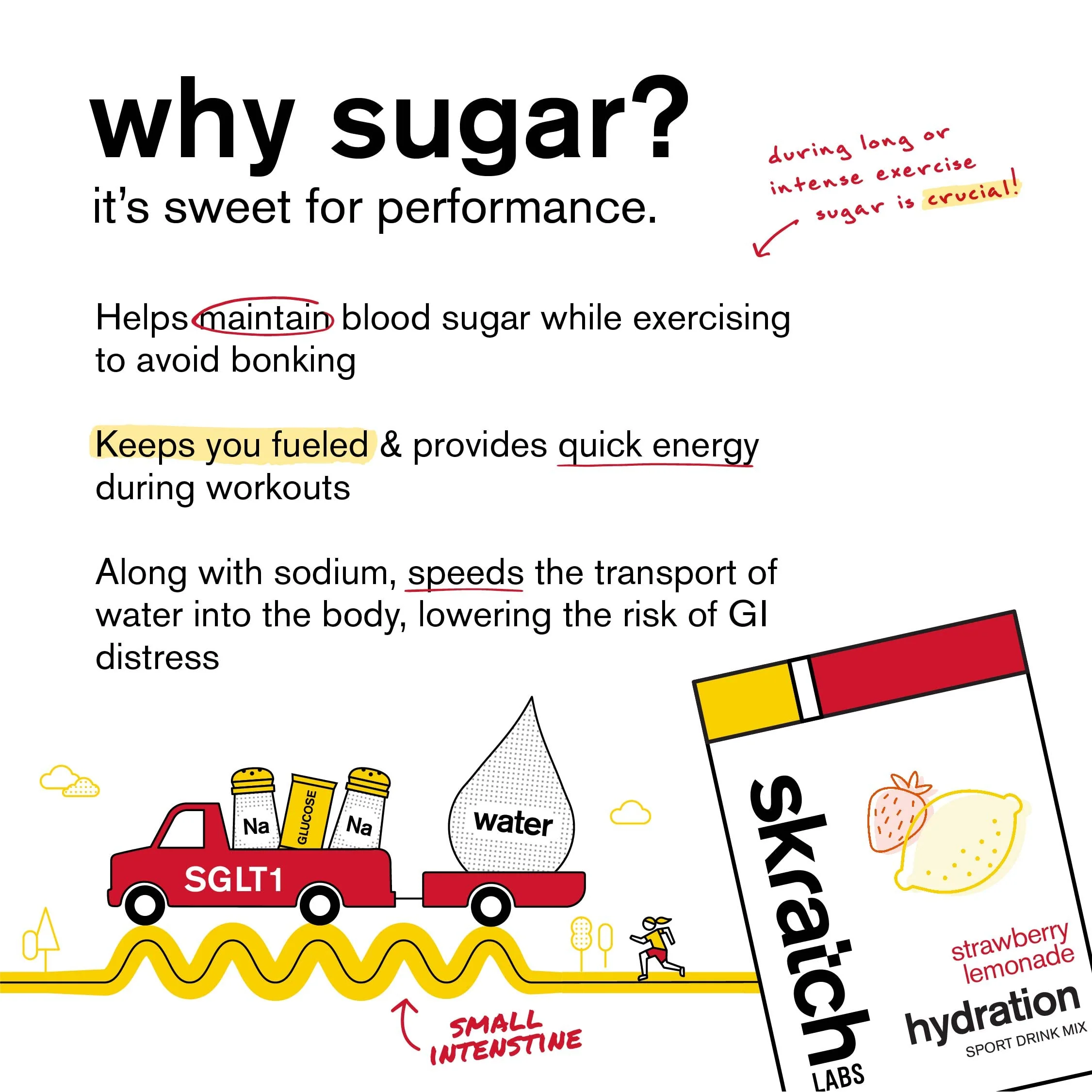 Skratch Labs Hydration Powder | Sport Drink Mix | Electrolytes Powder for Exercise, Endurance, and Performance | Strawberry Lemonade | 60 Servings | Non-GMO, Vegan, Kosher - Image 2