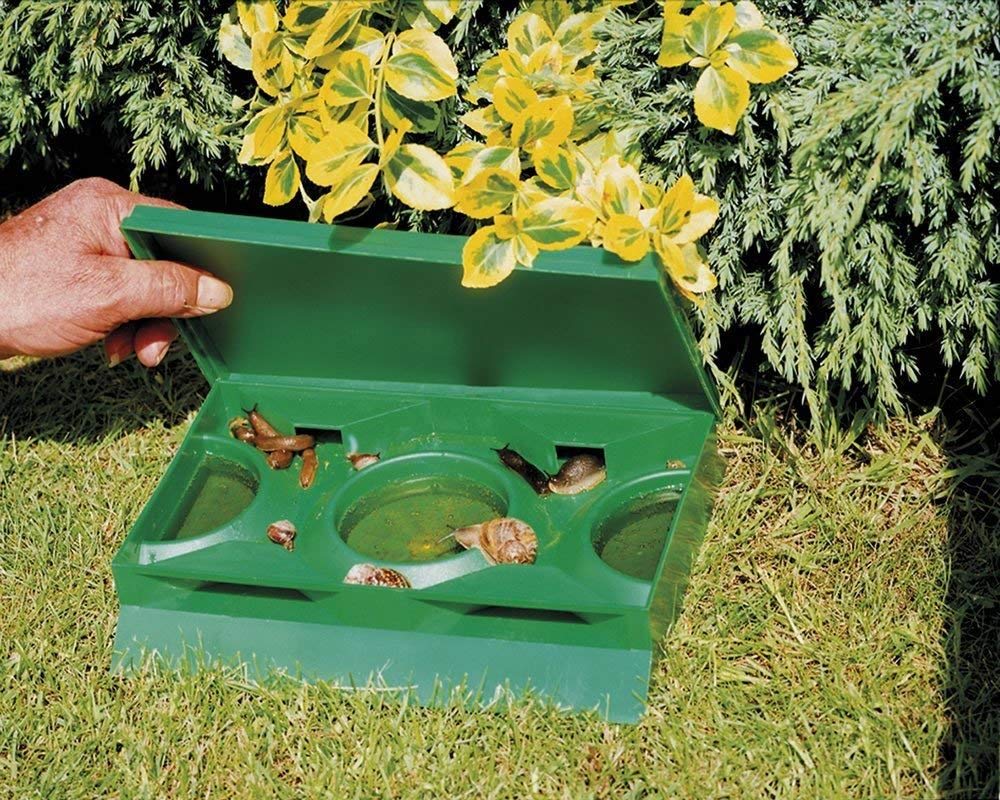 Slug X Slug & Snail Organic Slug Trap - Twin pack - Image 2
