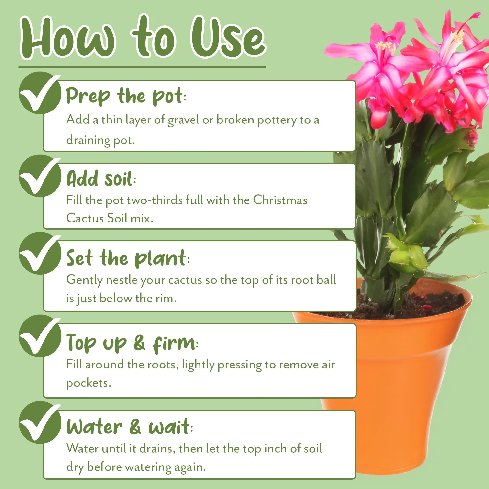 Soil Sunrise Christmas Cactus Potting Soil Mix (8 Quarts) Custom Blend for Xmas, Easter, and Thanksgiving Cactus Tropical Indoor Houseplants - Image 4