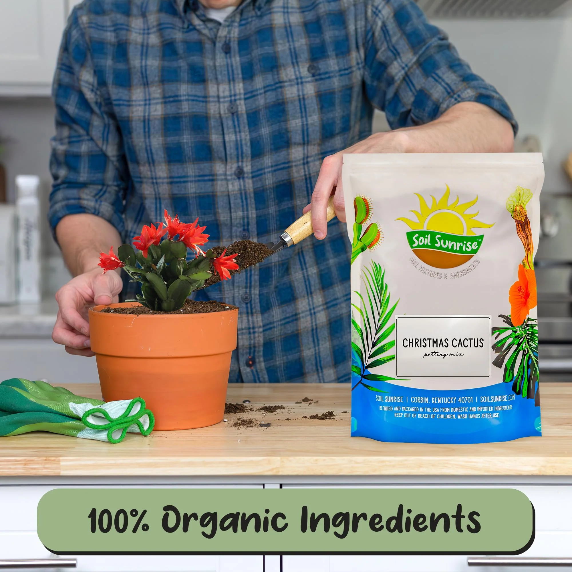 Soil Sunrise Christmas Cactus Potting Soil Mix (8 Quarts) Custom Blend for Xmas, Easter, and Thanksgiving Cactus Tropical Indoor Houseplants - Image 8