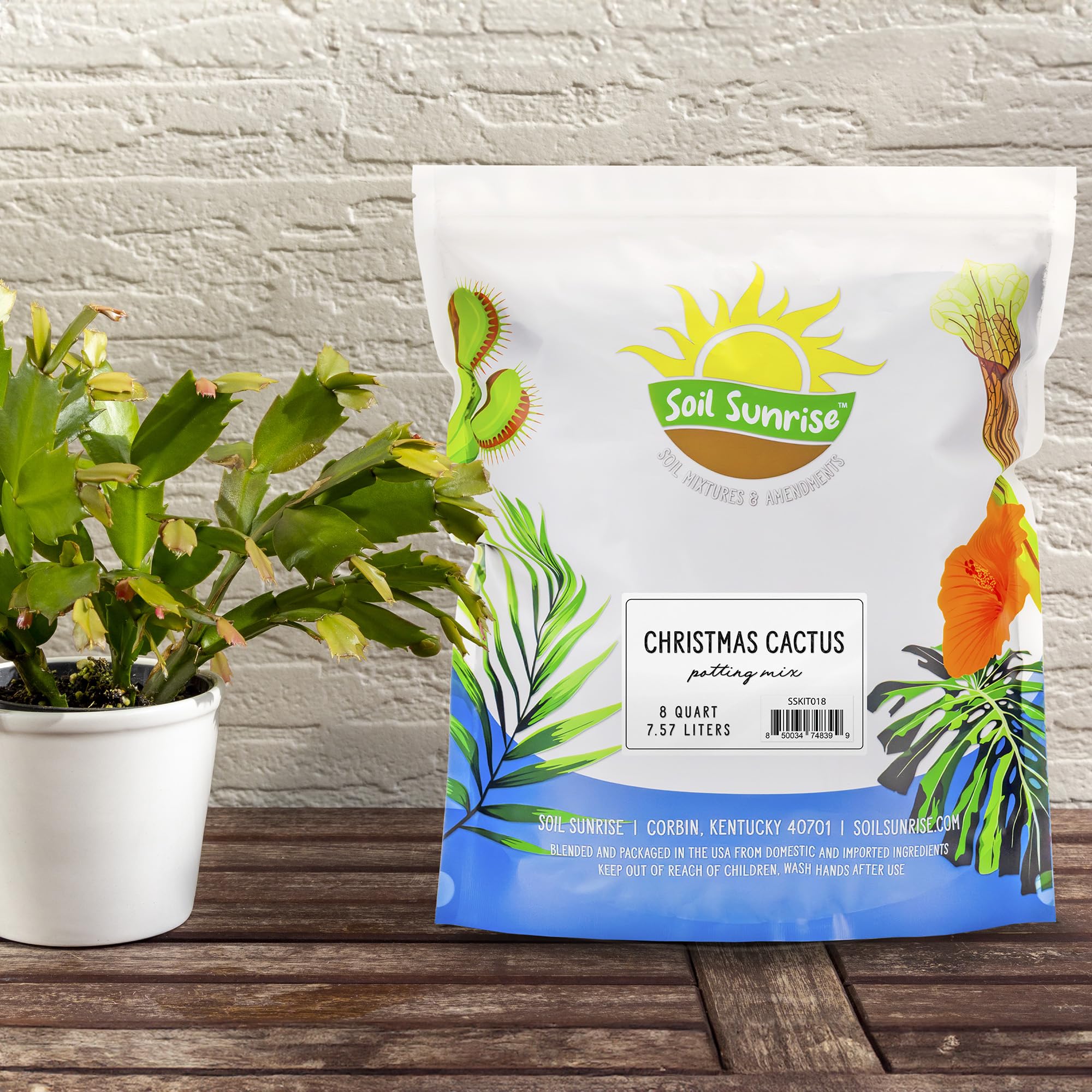 Soil Sunrise Christmas Cactus Potting Soil Mix (8 Quarts) Custom Blend for Xmas, Easter, and Thanksgiving Cactus Tropical Indoor Houseplants - Image 9