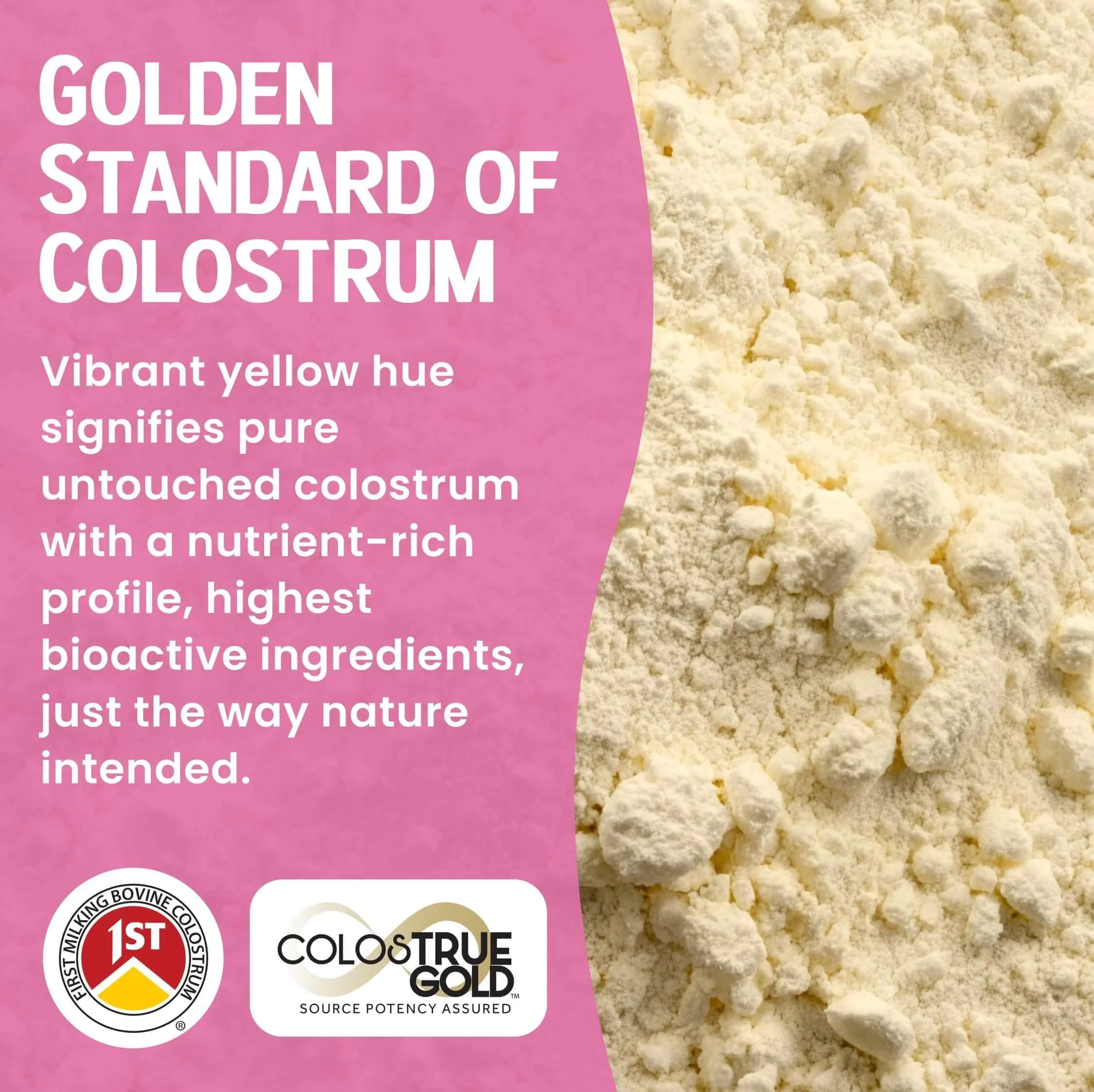 SonoHealth Cowabunga Colostrum - Premium, Pure & Unaltered Colostrum Powder Supplement - for Immune Support, Gut Health, Muscle Recovery & Wellness - Kosher & Halal Certified Calostro - Image 6
