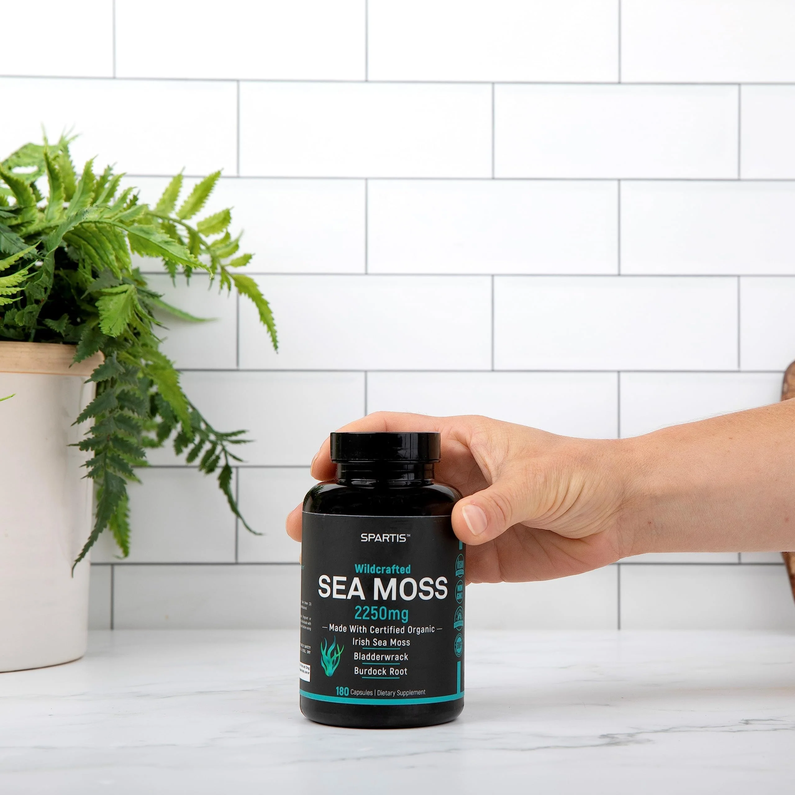 SPARTIS Certified Organic Sea Moss Capsules 2250mg Wildcrafted Irish Sea Moss Burdock Root Bladderwrack Supplement Raw Seamoss Pills & Powder (Pack of 1 at 180-Caps) - Image 5