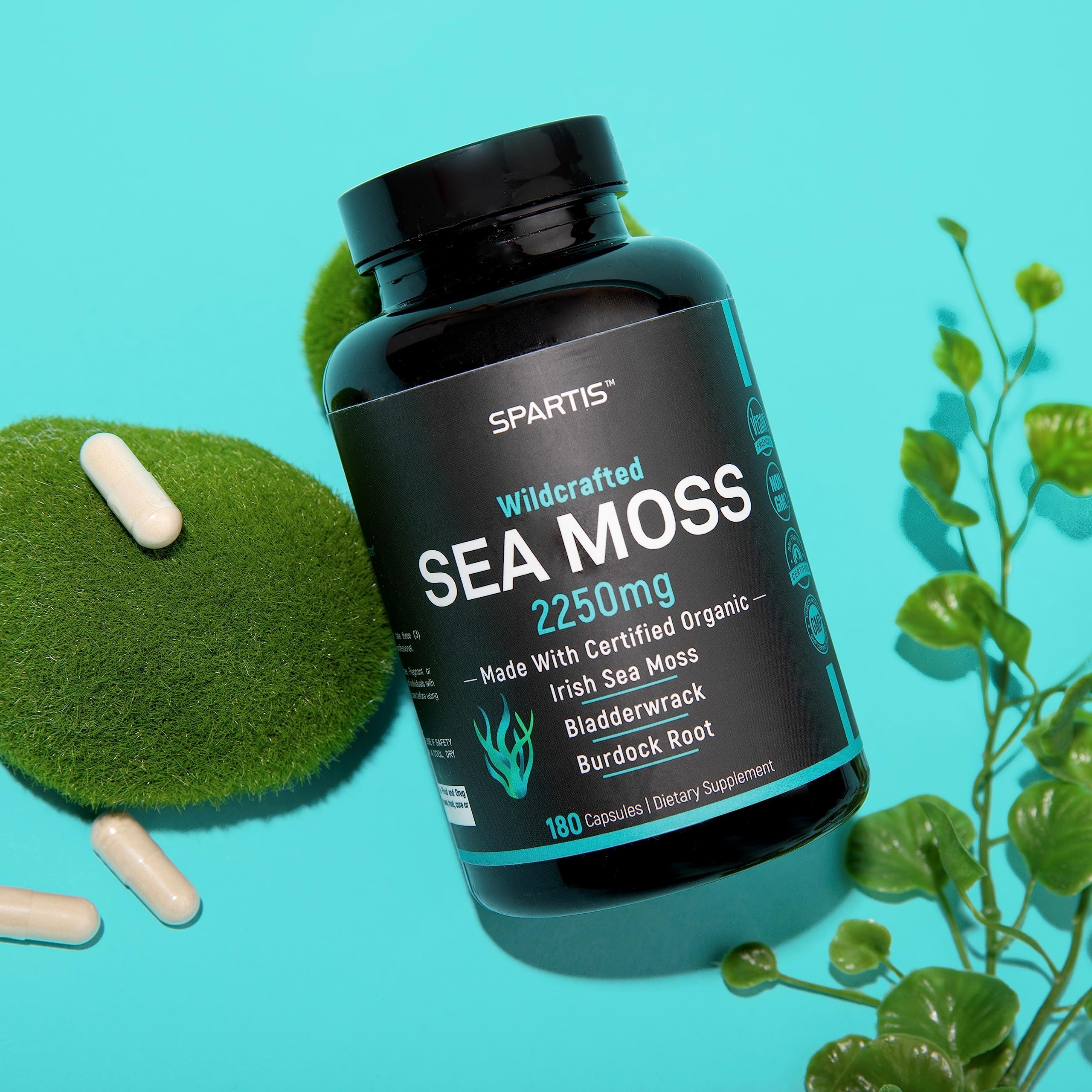 SPARTIS Certified Organic Sea Moss Capsules 2250mg Wildcrafted Irish Sea Moss Burdock Root Bladderwrack Supplement Raw Seamoss Pills & Powder (Pack of 1 at 180-Caps) - Image 7