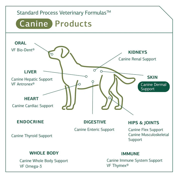 Standard Process - Canine Dermal Support - Healthy Skin for Dogs - 30 Grams - Image 4