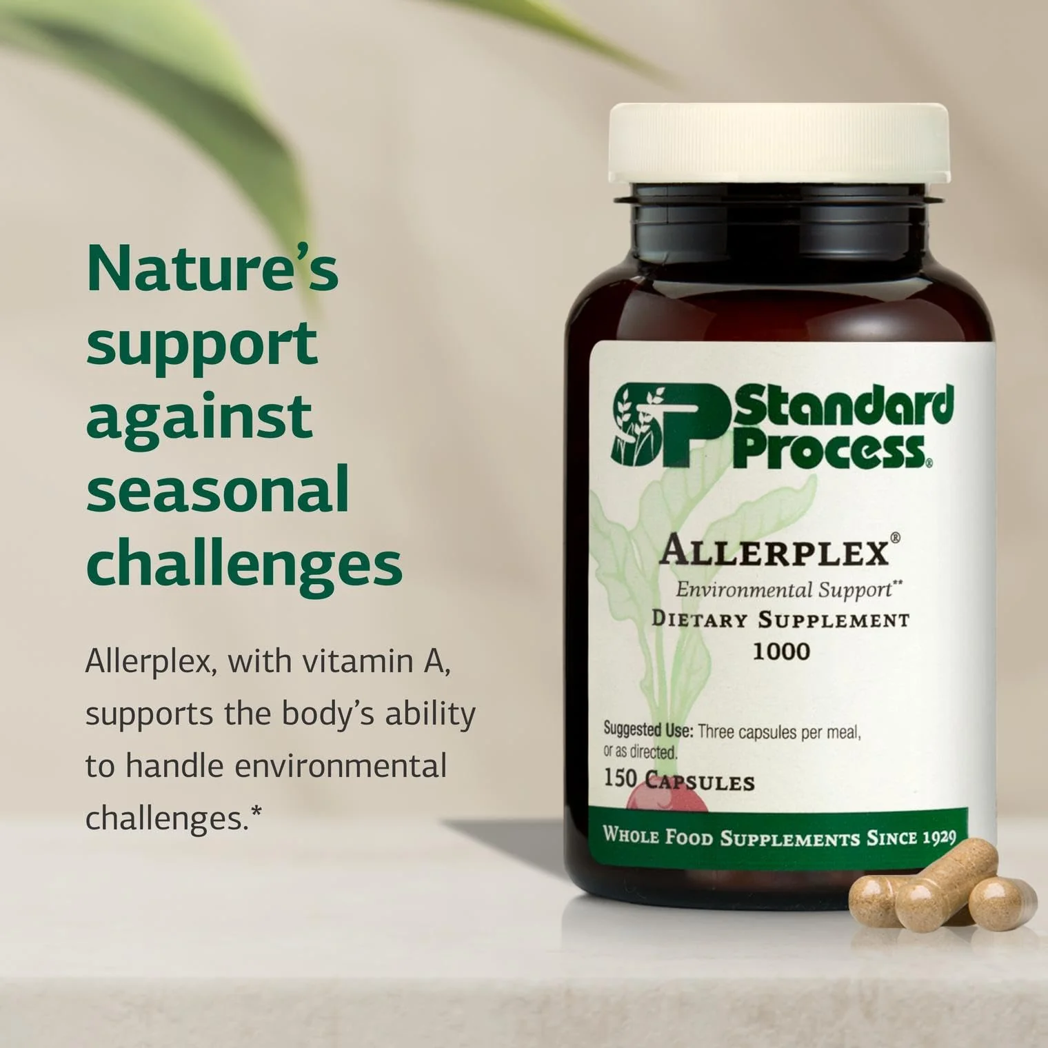 Standard Process Inc. Allerplex, Lung Health Support Supplement, Dietary Supplement with Vitamin A & Pneumotrophin PMG, Support Healthy Mucous Membranes, Supports Seasonal Challenges - 150 Capsules - Image 6
