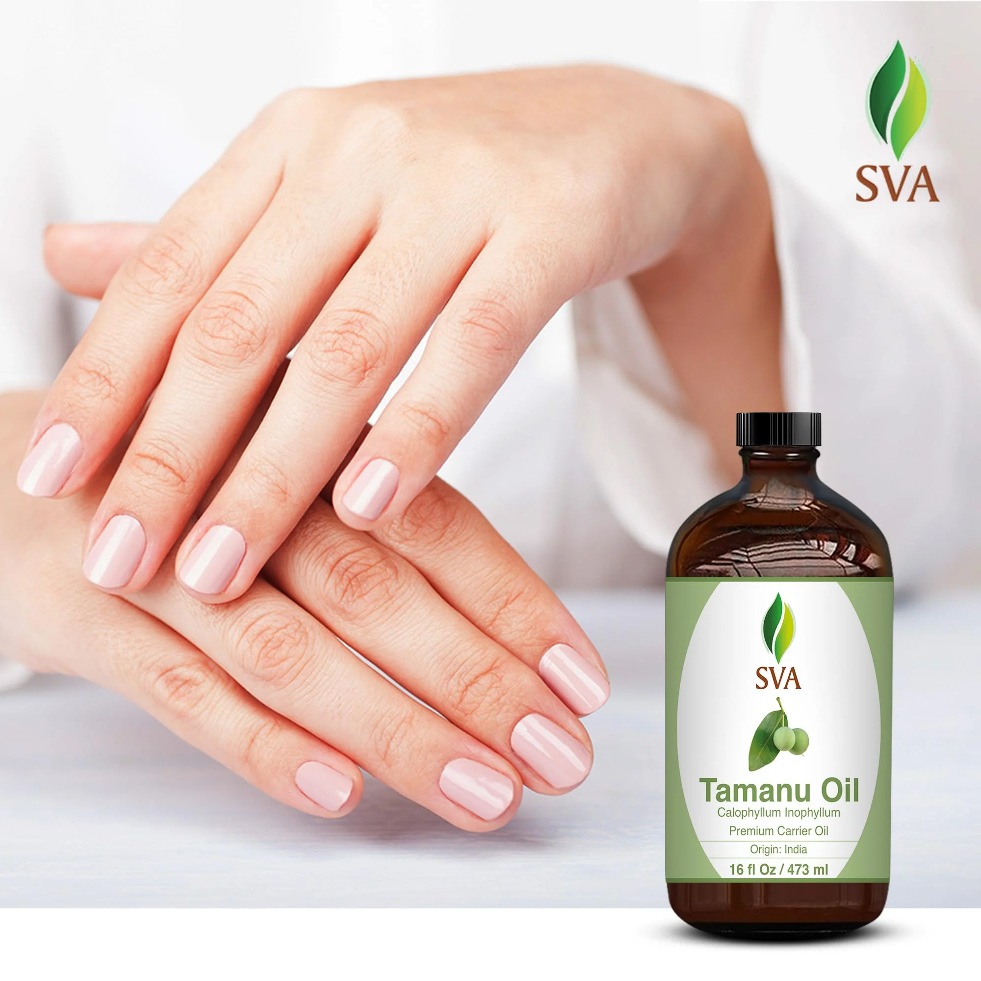 SVA Tamanu Seed Oil - 16 Fl Oz – 100% Natural Cold Pressed Tamanu Oil - for Face, Skin Care, Hair Care, Scalp Massage & Body Massage – Carrier Oil - Image 3