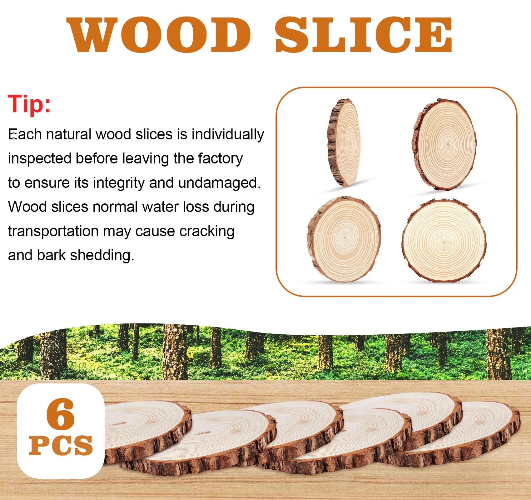 Timburst 6.5-8 inch Unfinished Wood Slices, 6 Pcs Natural Wood Centerpieces for Tables, Wood Slice with Bark, Rustic Wood Circles for Crafts Arts Party Christmas Decorations Wedding Centerpiece - Image 5
