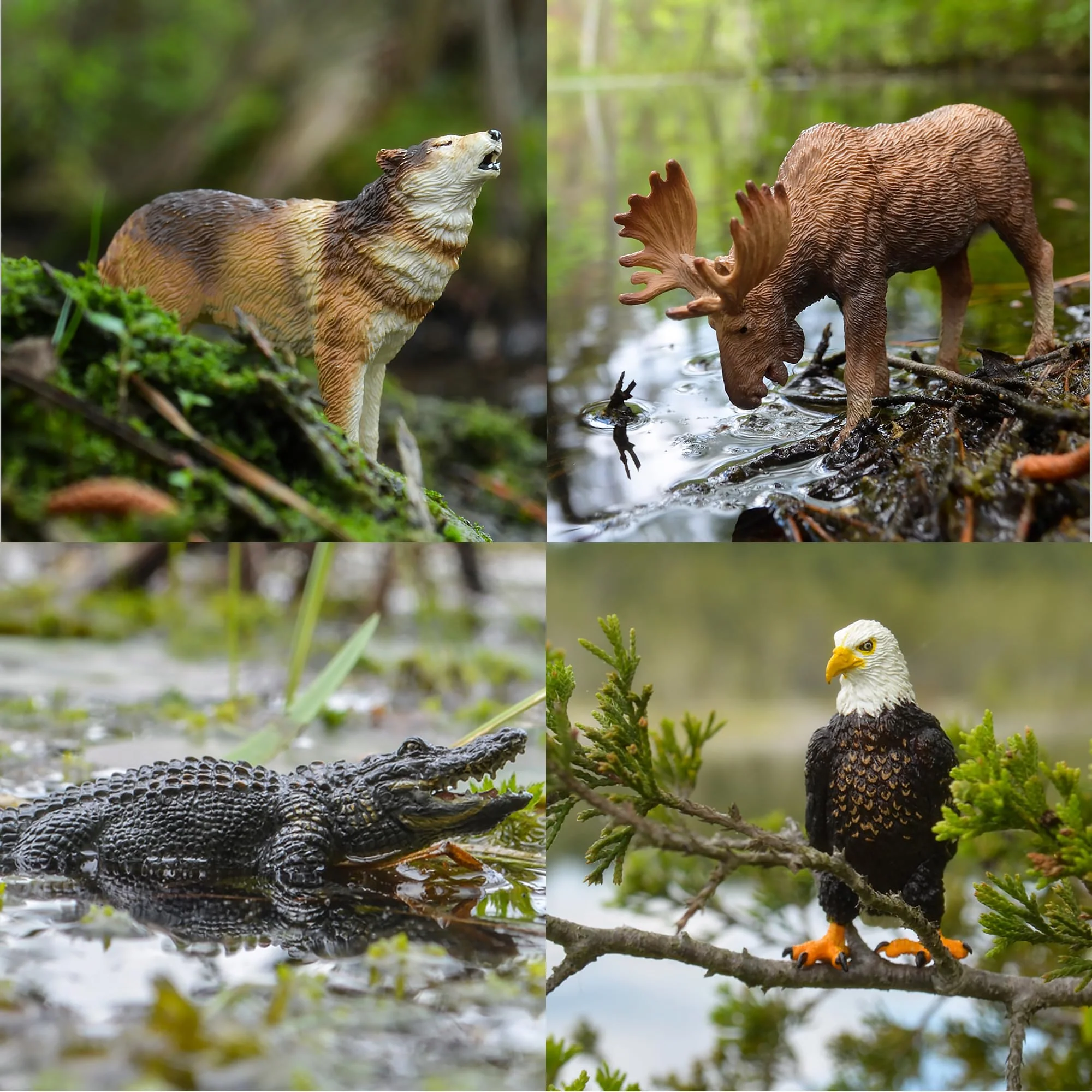 Toymany 12PCS North American Forest Animal Figurines, Realistic Jungle Animal Set Includes Moose,Cougar,Wolf,Bear,Eagle,Deer Educational Toy Cake Toppers Christmas Birthday Gift for Toddlers Kids 3-5 - Image 3