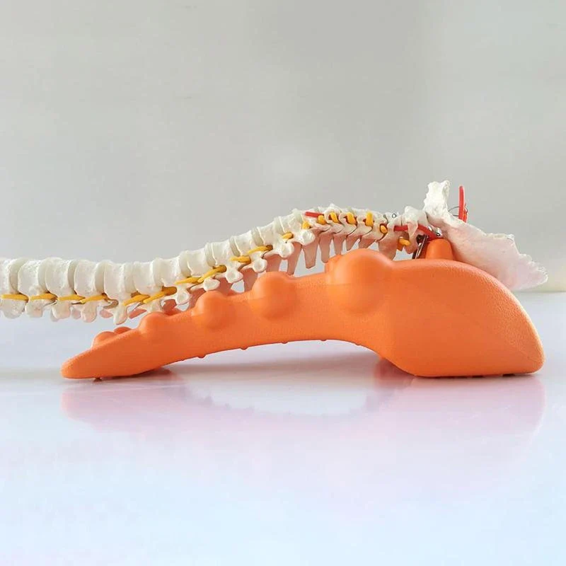 Trapezius Stretcher,Comfortable Trapezius Trigger Point,Portable Trapezius Massager,Trapezius Trigger Point for Shoulder, Neck, Upper Back, and Trapezius Muscles - Image 5