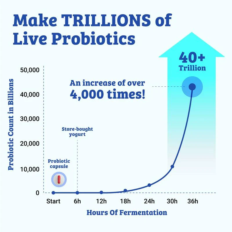 Ultimate Probiotic Yogurt Maker with Adjustable Temperature Control - Make Trillions of Live Probiotics - LIFETIME WARRANTY - material: With Eight 6oz Jars - Image 5