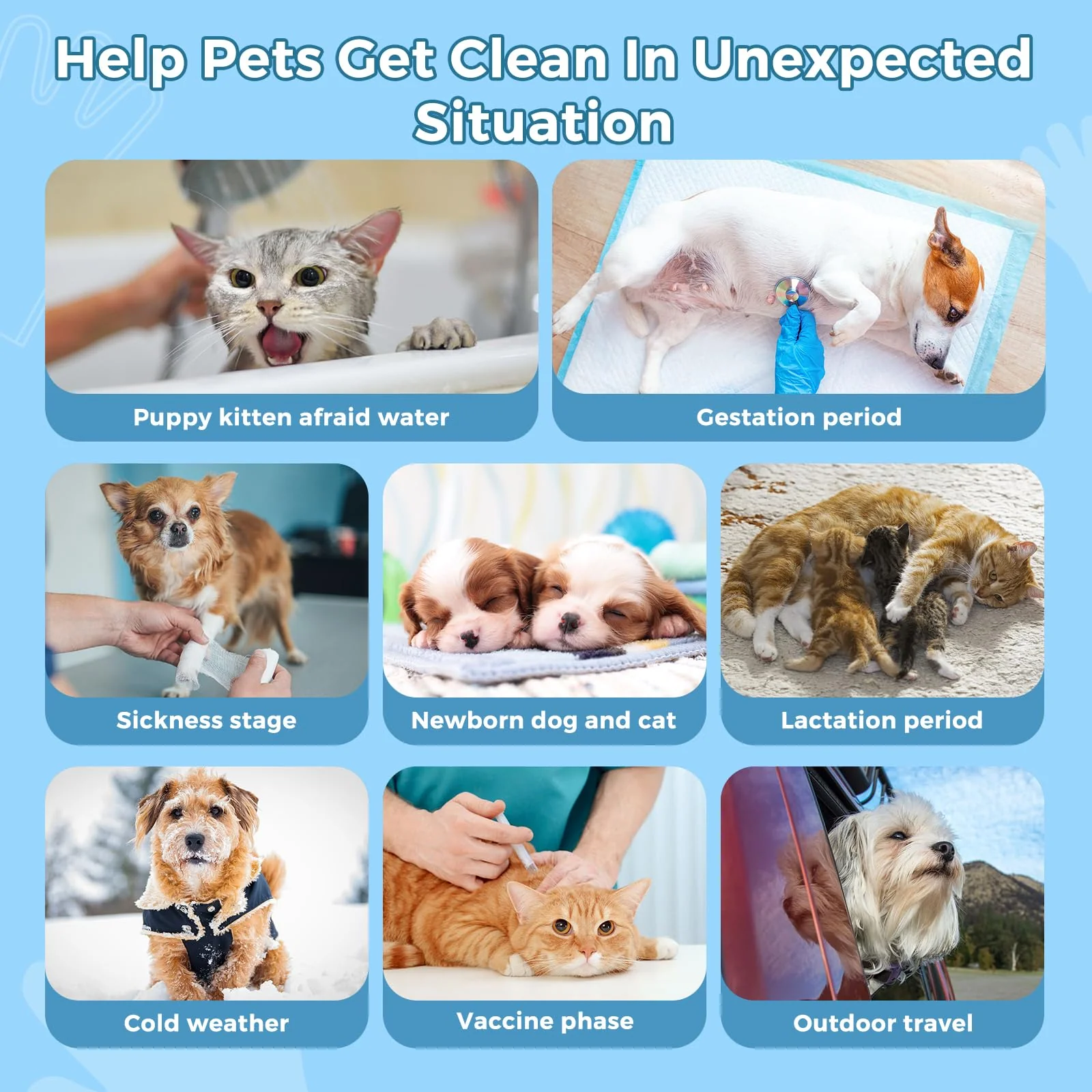 Vannon Extra Thick Pet Bathing Wipes for Dogs & Cats, Cleaning & Odor-Controlling Grooming Gloves, Nourish Fur Glove Wipes for Daily Care and Traveling, Rinse Free, Unscented, 6 PCS - Image 2