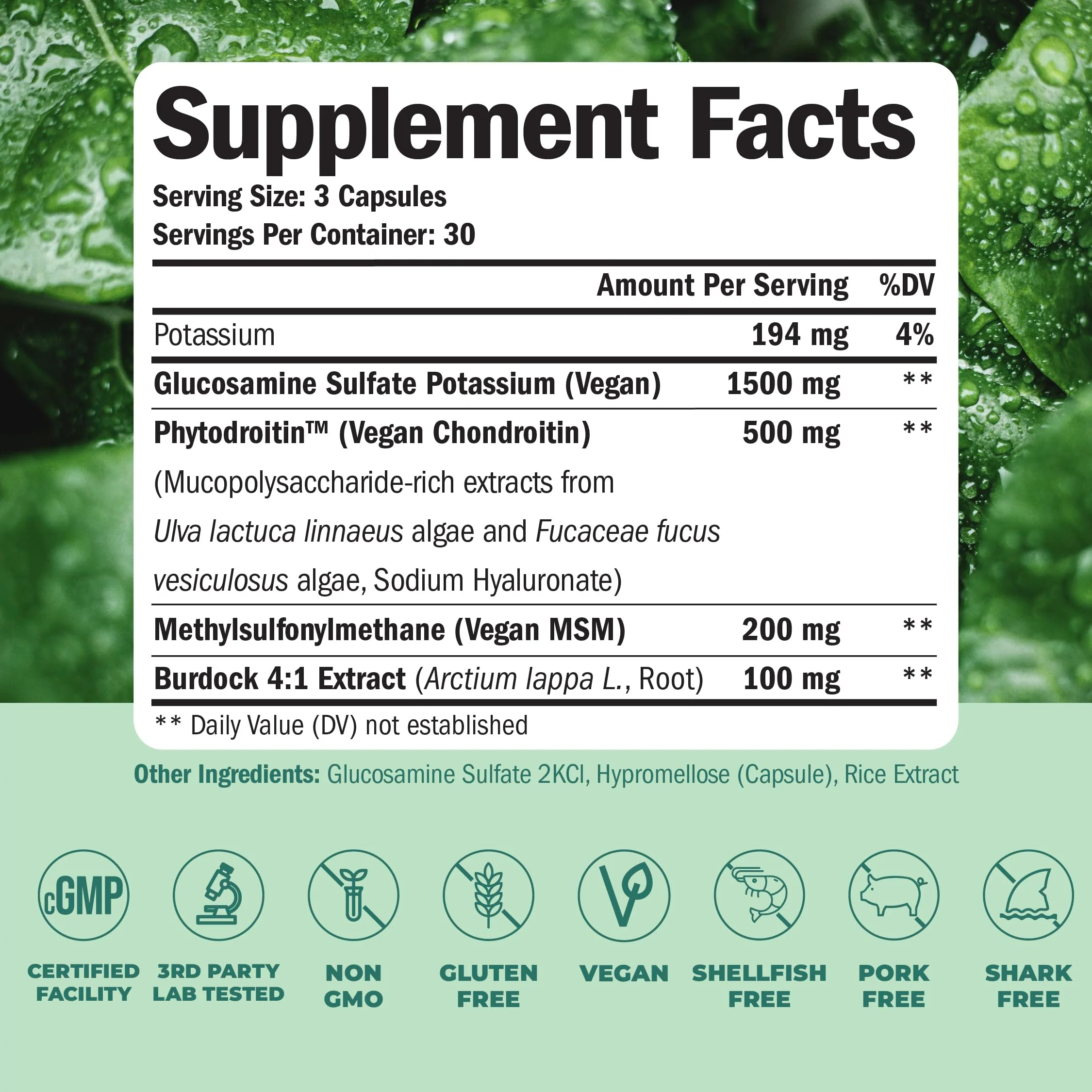 Vegan Glucosamine Chondroitin MSM - 100% Vegan Joint Support Supplement for Women & Men with Burdock and Glucosamine Sulfate 1500 mg. Used for Cartilage and Joint Health and Flexibility - 2 Pack - Image 8