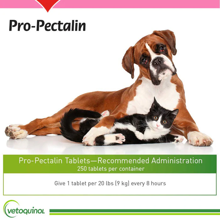 Vetoquinol Pro-Pectalin Chewable Tablets for Dogs & Cats – 250ct, Beef Liver Flavor – Helps Reduce Occasional Loose Stool & Diarrhea, Balance Gut pH, Support Normal Digestion & Intestinal Flora - Image 3