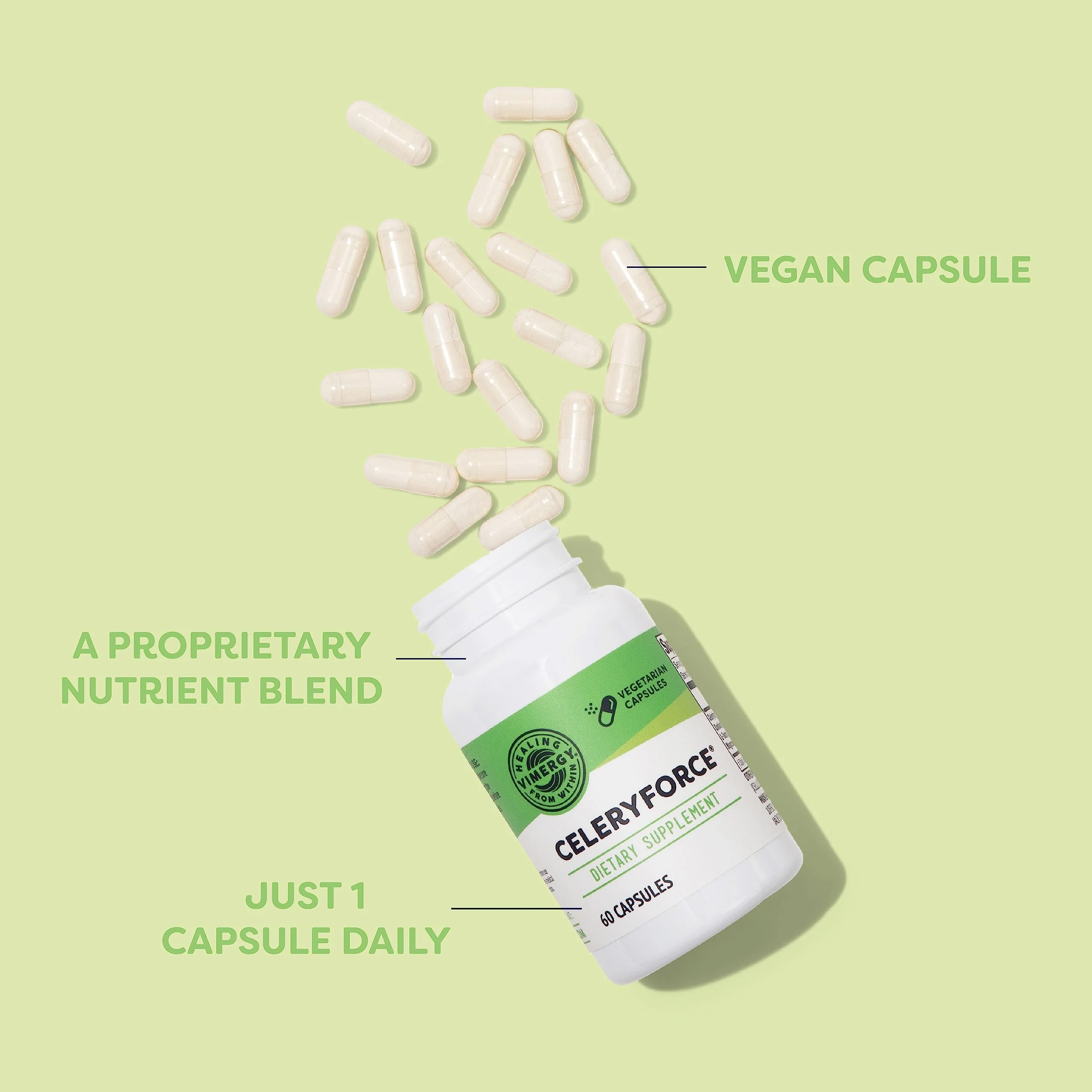 Vimergy Celeryforce – Nutrients and Amino Acids – Supports Your Wellness Routine* – Kosher, Vegan & Gluten-Free – 60 Capsules - Image 4
