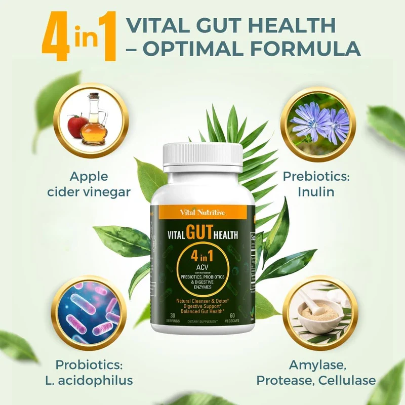 Vital Gut Health 4in1 Formula with Apple Cider Vinegar, Prebiotics & Probiotics, Digestive Enzymes for Strong Immunity Support and Complete Gut and Digestion Support - Image 2