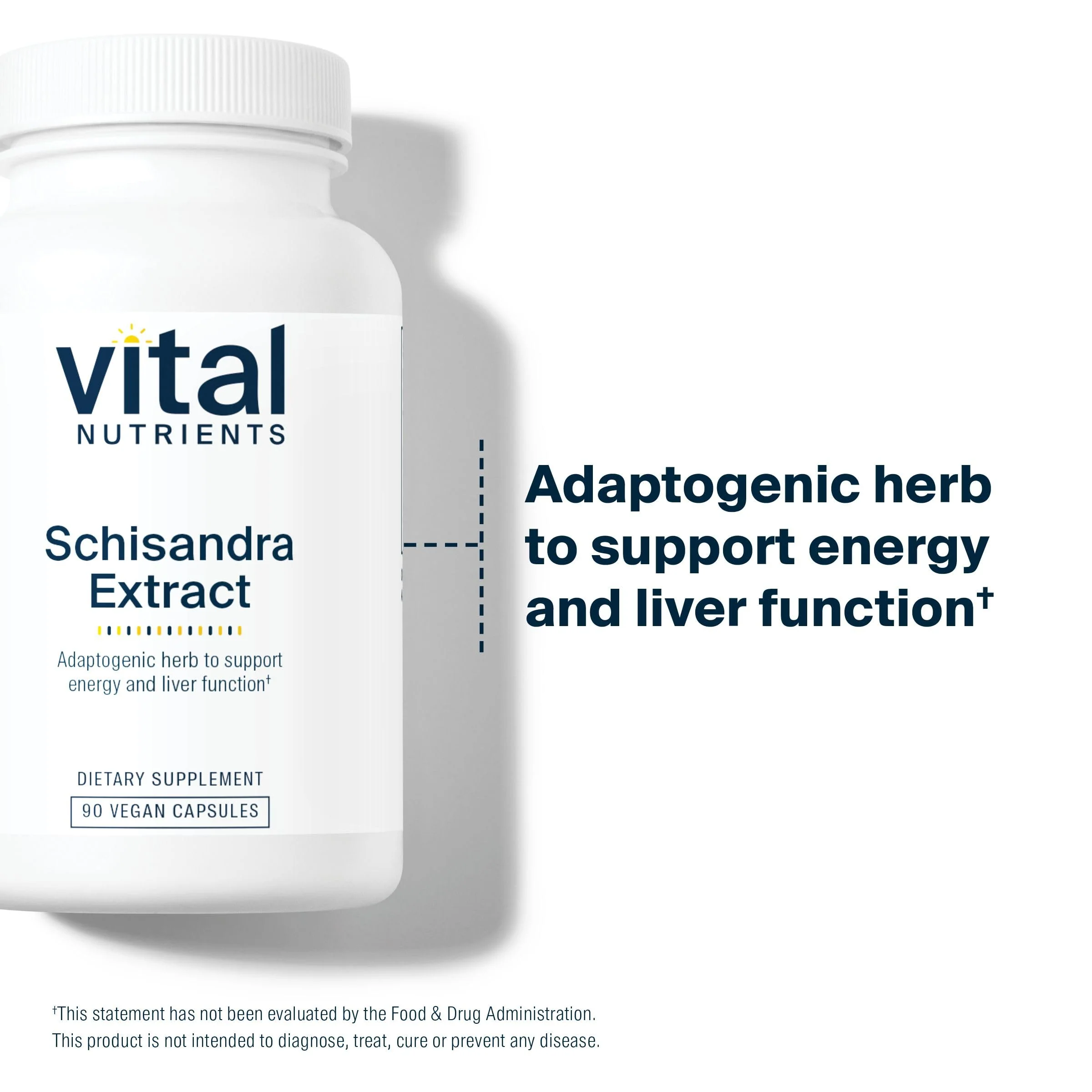 Vital Nutrients - Schisandra Extract - Liver, Immune, Energy, and Endurance Support - 90 Vegetarian Capsules per Bottle - 1000 mg - Image 2