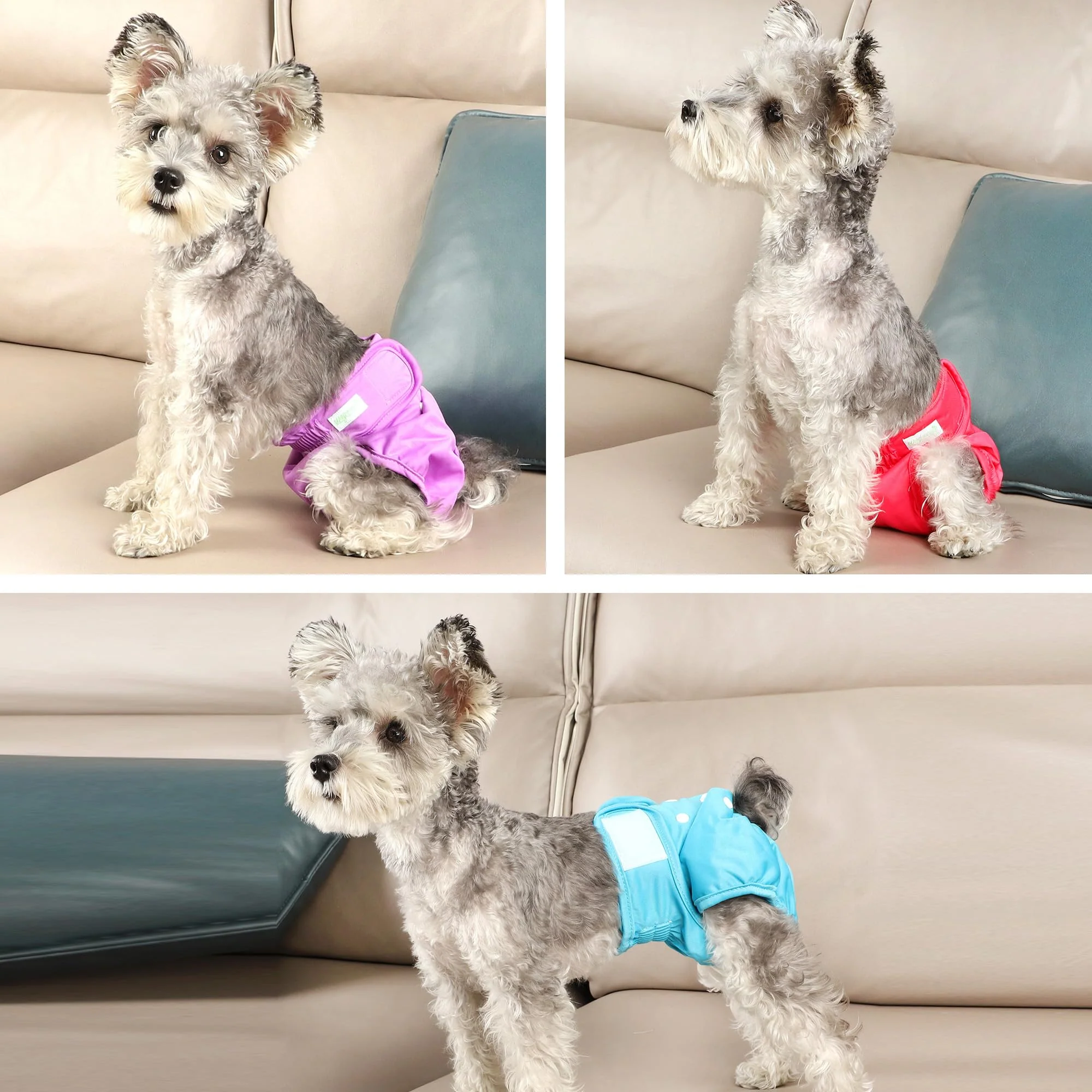 wegreeco Christmas Washable Reusable Premium Dog Diapers, XX-Large, Bright Color, for Female Dog, Pack of 3,Small Dog Puppy & Doggy Diapers Female,Dog Period Panties Diapers Female in Heat - Image 3