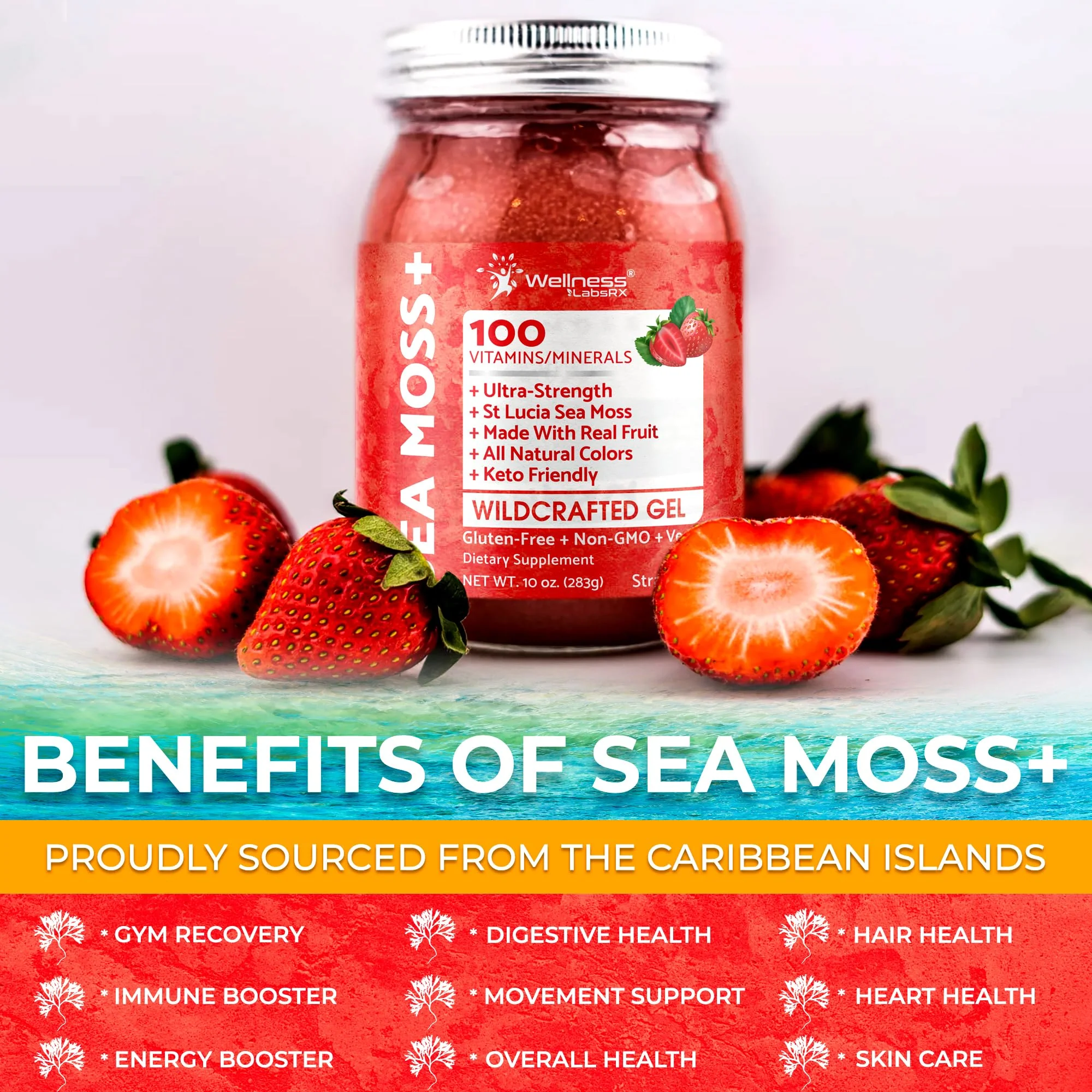 WELLNESS LABSRX Irish Sea Moss Gel Raw - Wildcrafted Superfood Seamoss Gel - Strawberry Flavor, Vitamin and Mineral-Rich from Pristine Caribbean Waters, Immune and Digestive Health Support - 10 oz. - Image 6