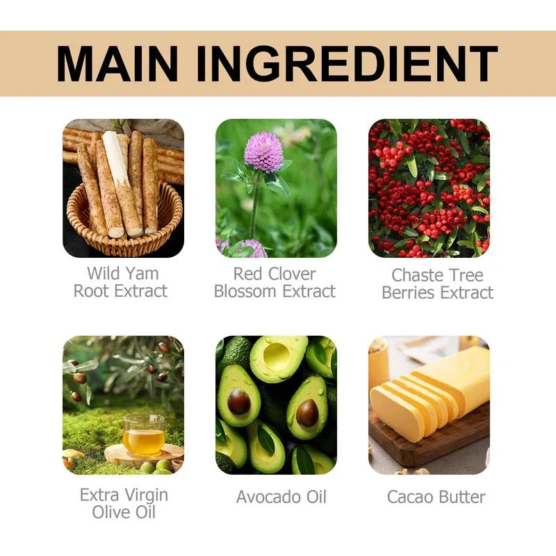 Wild Yam Skin Cream, Natural Relief for Menopause Dry Skin, Menopause Botanical Balancing Body Cream, Skin Care Product for Women and Men - Specification: 1 Count, Net Weight: 60g - Image 5