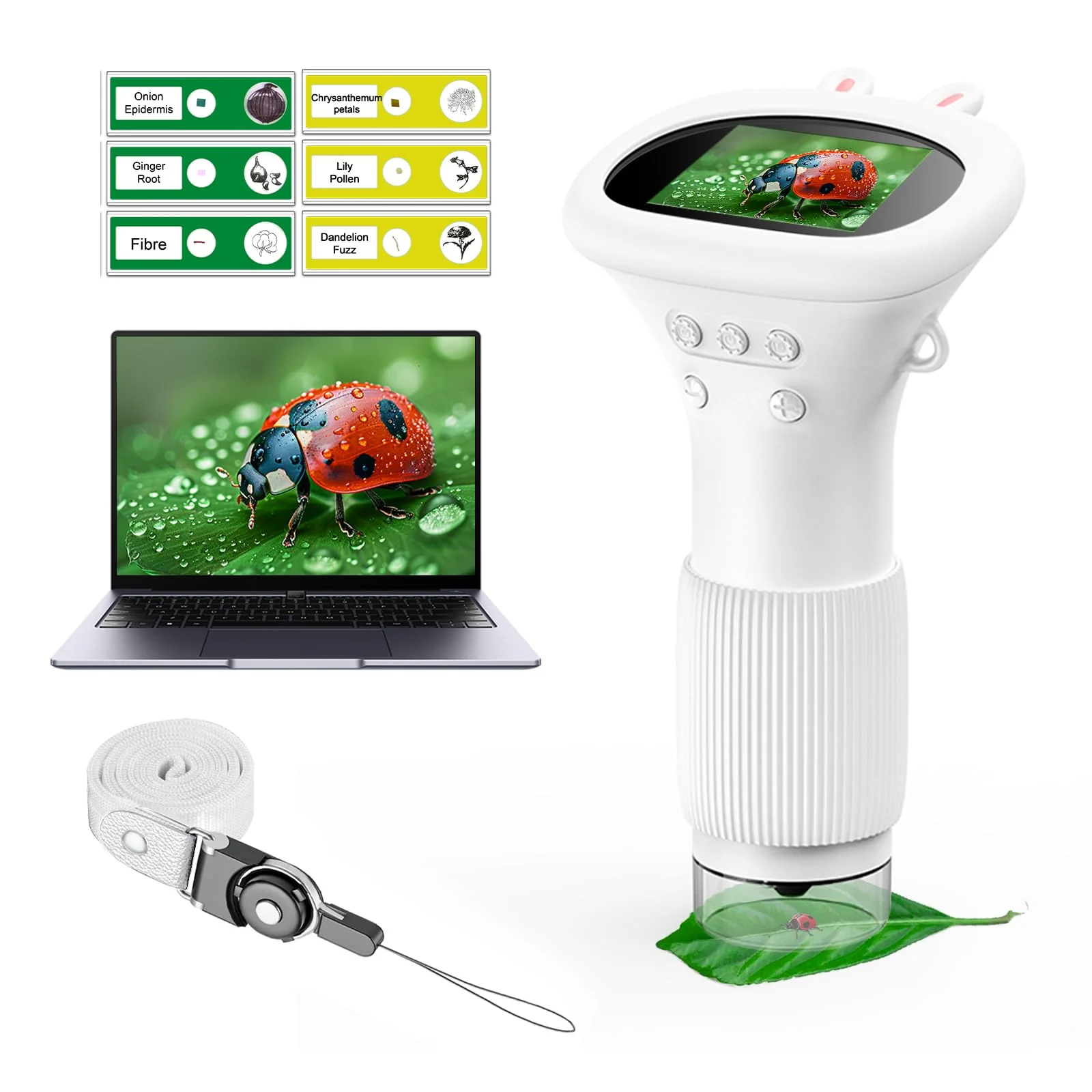 WINWEND Microscope for Kids - Portable Handheld Magnifying Glass for Girls | Mini Digital Microscope for Boys Educational Science Toys | Age 3 4 5 6 7 8 9 10 11 Years Old Kids Christmas Birthday Gifts