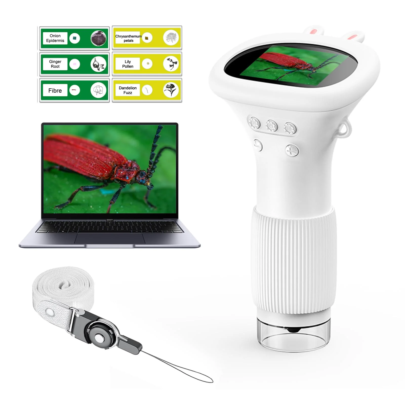 WINWEND Microscope for Kids - Portable Handheld Magnifying Glass for Girls | Mini Digital Microscope for Boys Educational Science Toys | Age 3 4 5 6 7 8 9 10 11 Years Old Kids Christmas Birthday Gifts - Image 2