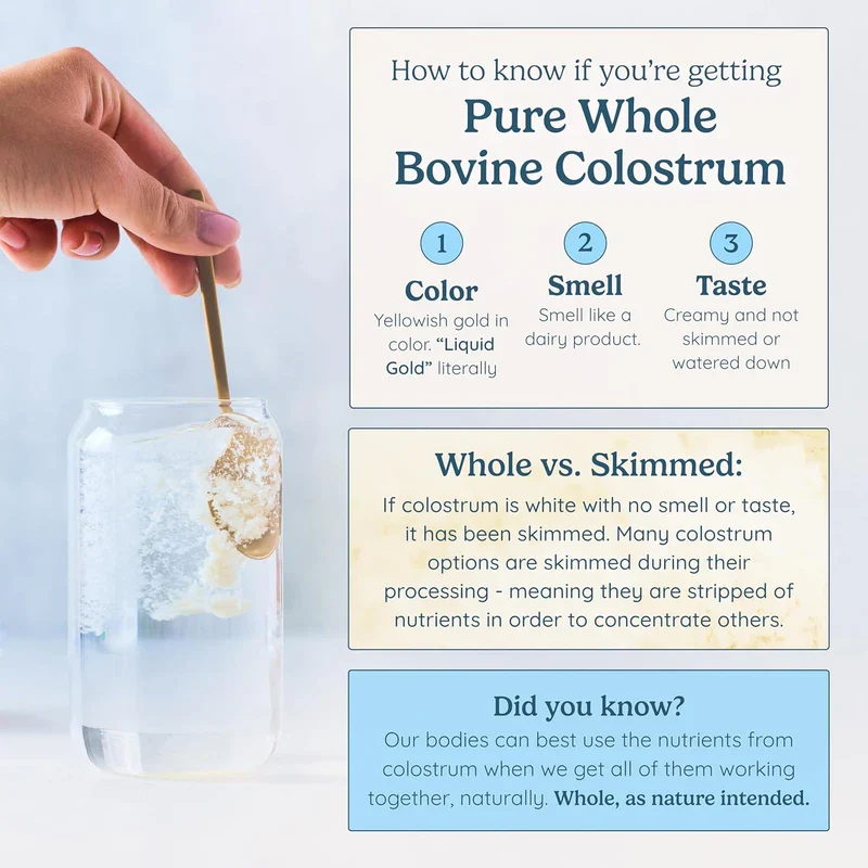 WONDERCOW Pure Bovine Colostrum Supplement Powder for Gut Health, Immune Support, and Muscle Recovery | Natural IgG Superfood, Unflavored, 60 Servings - Image 8