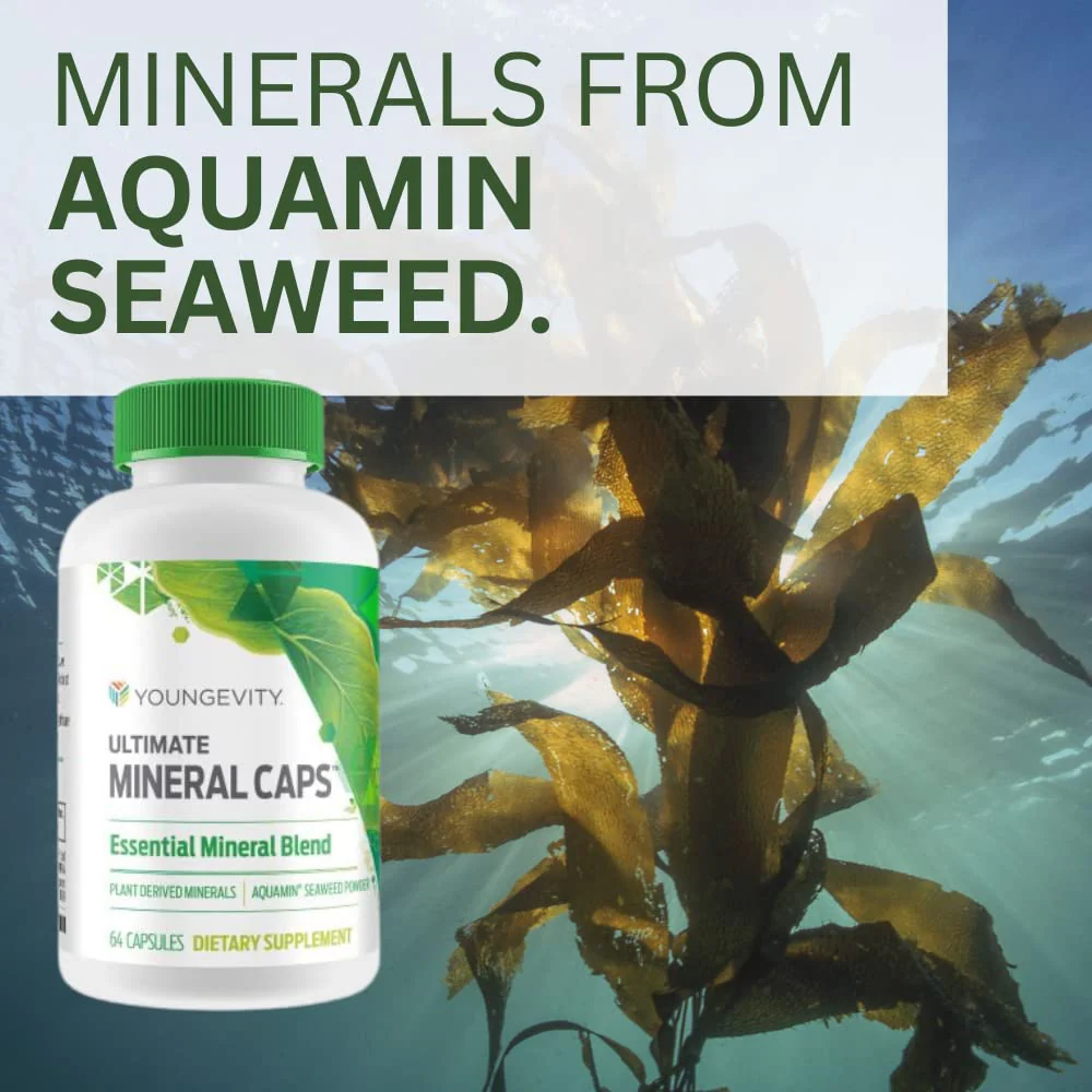 Youngevity Ultimate Mineral Caps™ - 70+ Essential Full Spectrum Trace Minerals - Nutrient-Dense, Derived from Humic & Aquamin Seaweed (64 Capsule) - Image 4